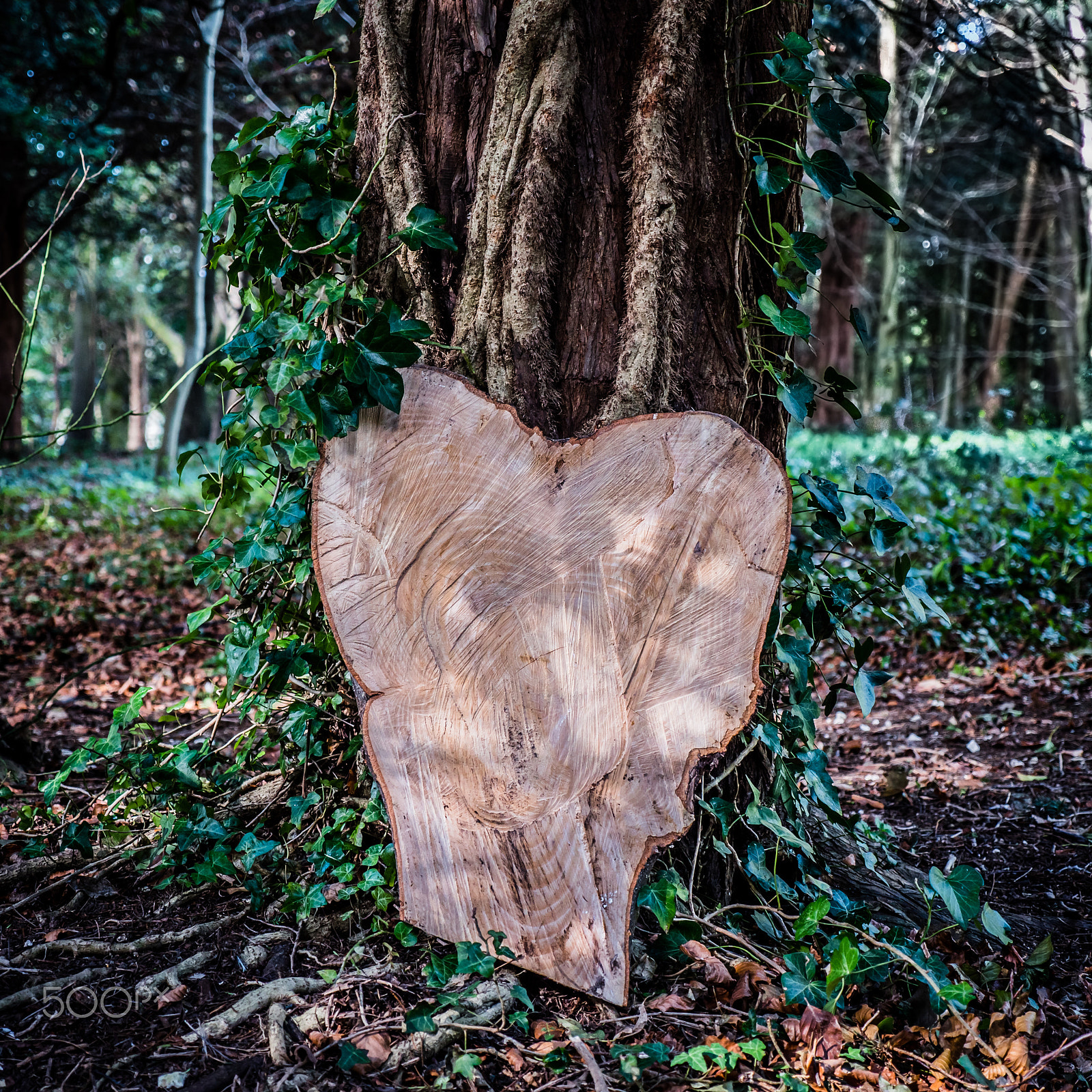 Panasonic Lumix DMC-GX8 sample photo. Wooden heart  ♡ photography