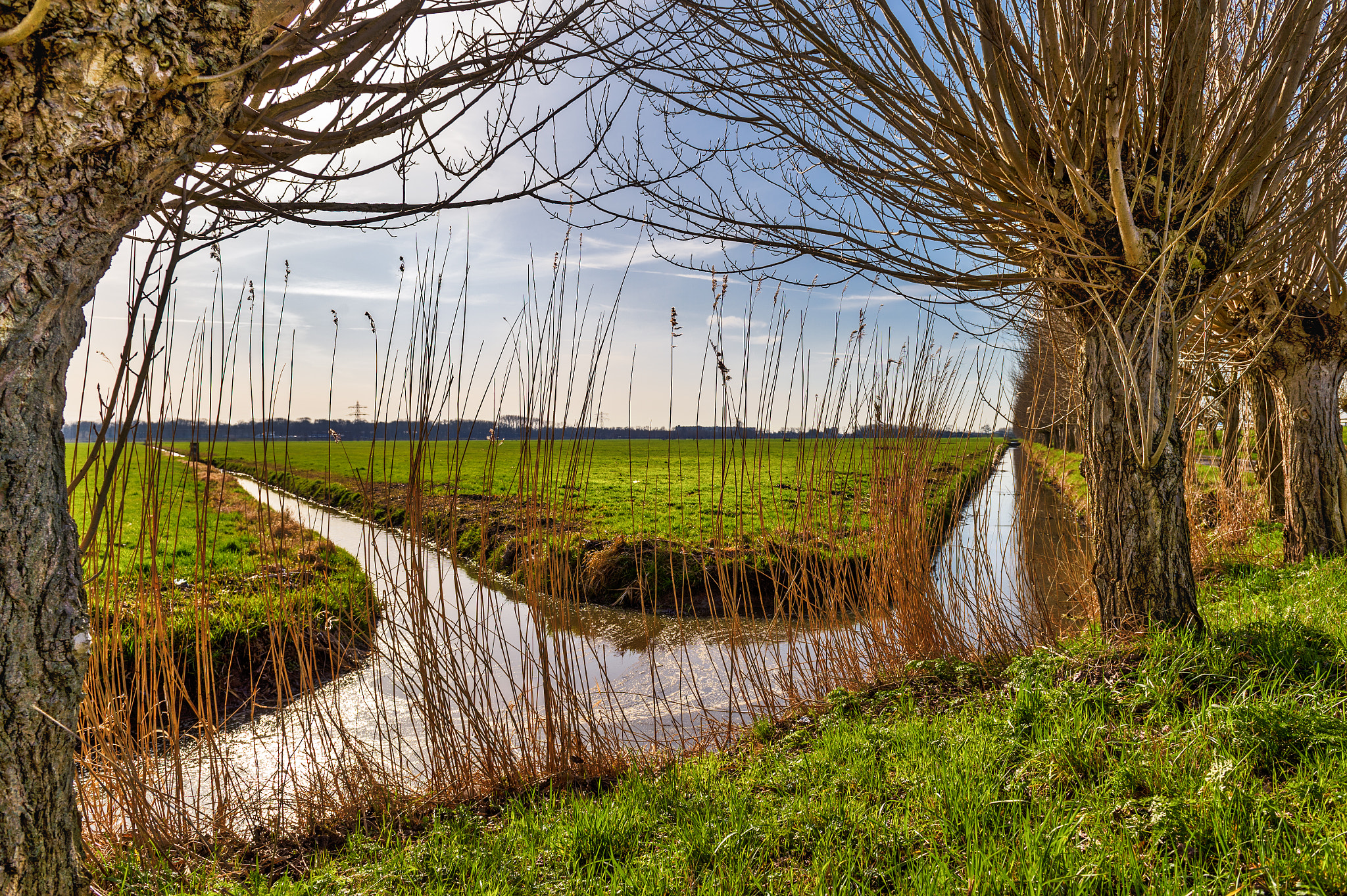 Nikon D4S sample photo. The middle of the netherlands ! photography