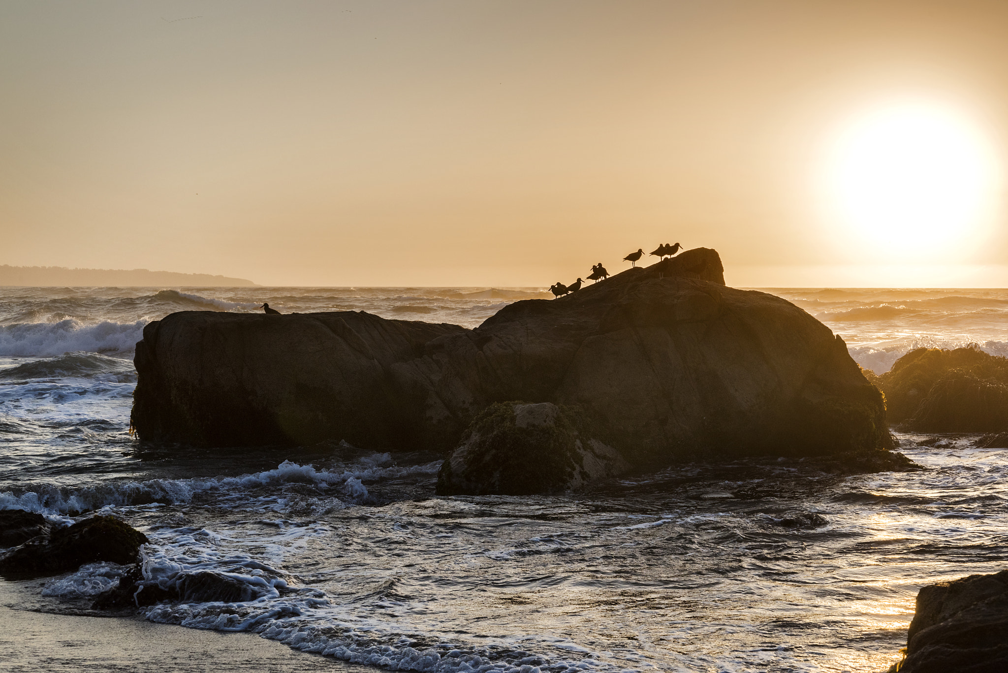 Nikon D810 sample photo