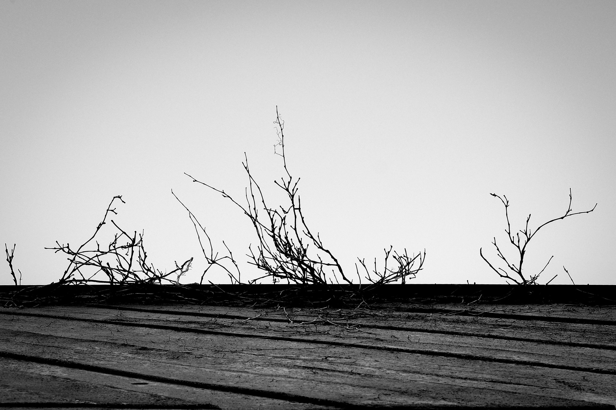 Fujifilm X-T1 + Fujifilm XF 35mm F2 R WR sample photo. Escaping photography