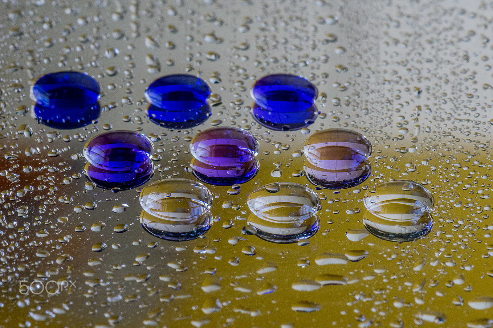 Pentax K-3 + Tamron SP AF 90mm F2.8 Di Macro sample photo. Dilutions photography
