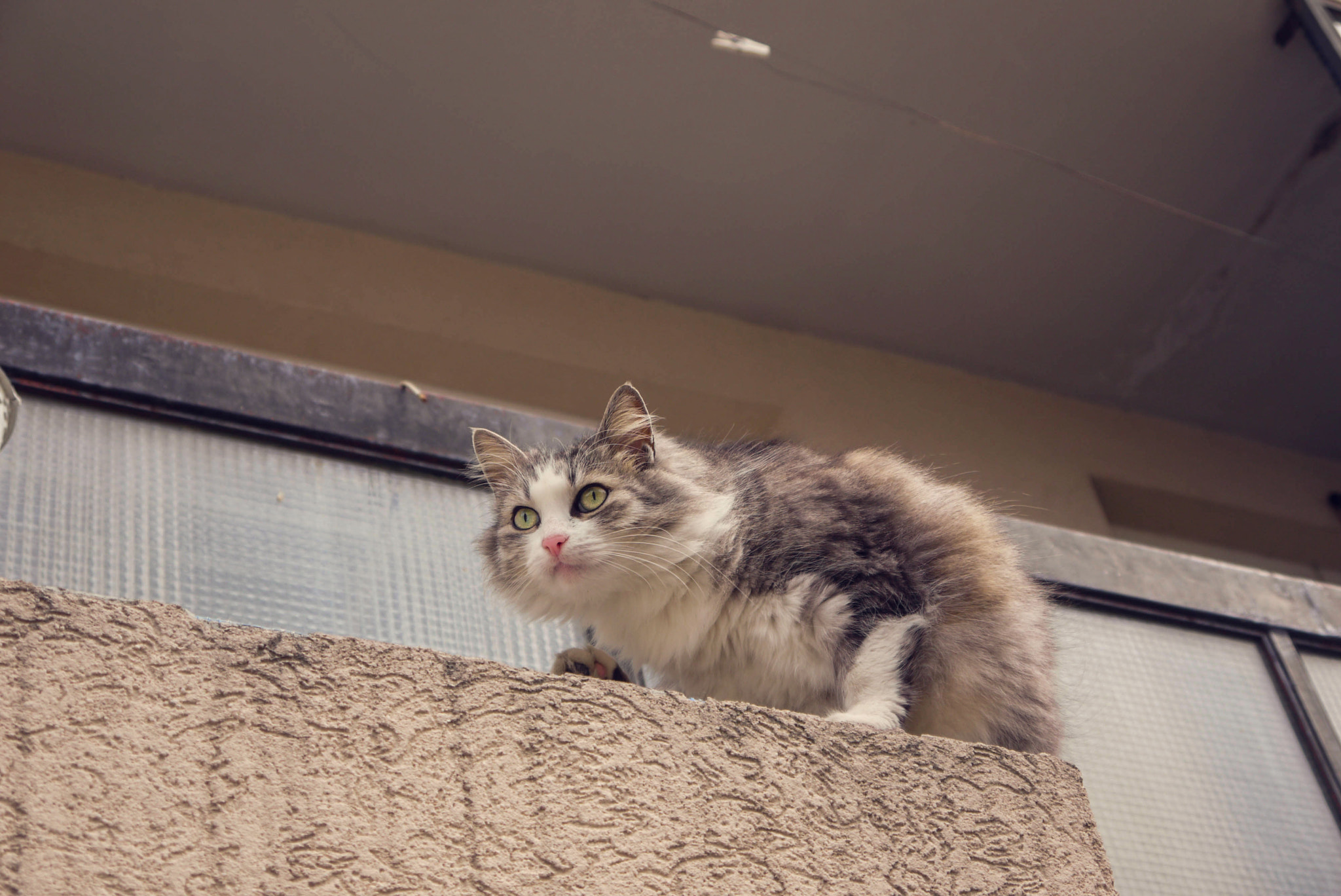 Panasonic Lumix DMC-G1 sample photo. P photography