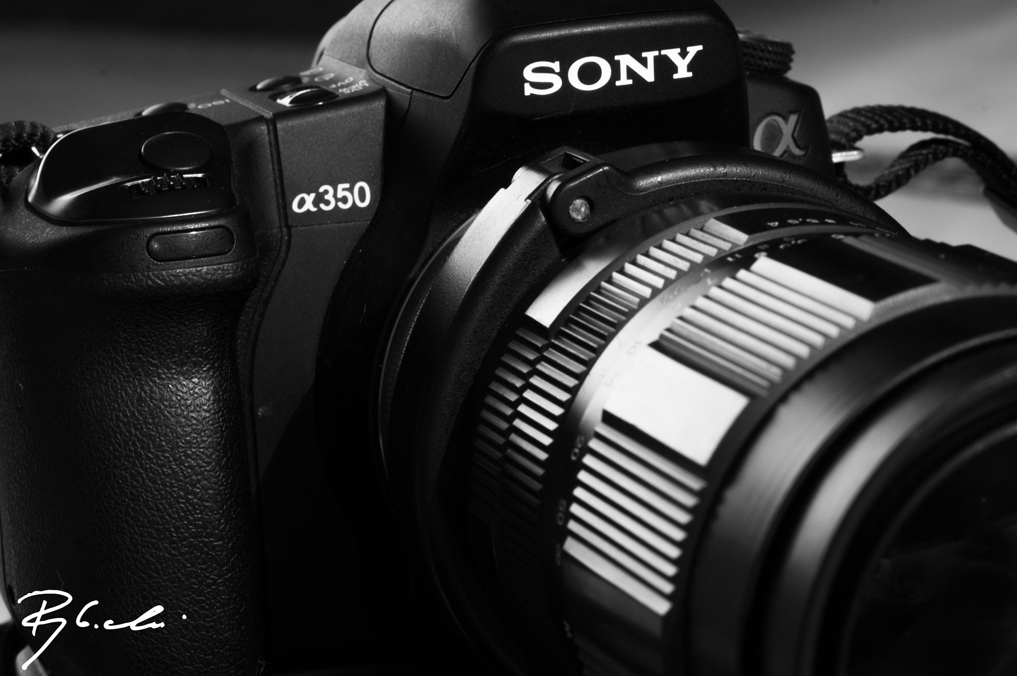Sony Alpha DSLR-A550 + Tamron SP AF 90mm F2.8 Di Macro sample photo. Sony & jupiter m21 photography