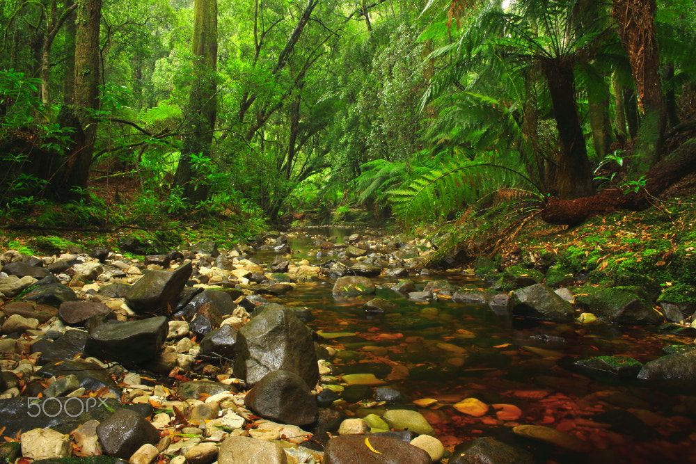 Canon EOS 60D sample photo. Black river , wrights road photography