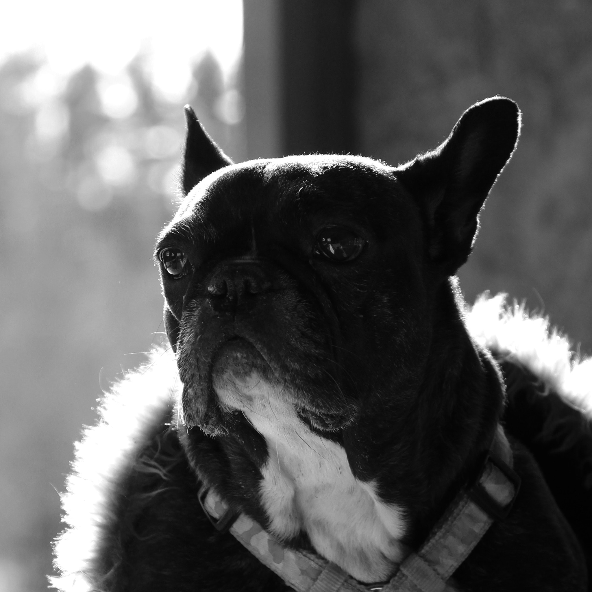 Canon EF 24-70mm F4L IS USM sample photo