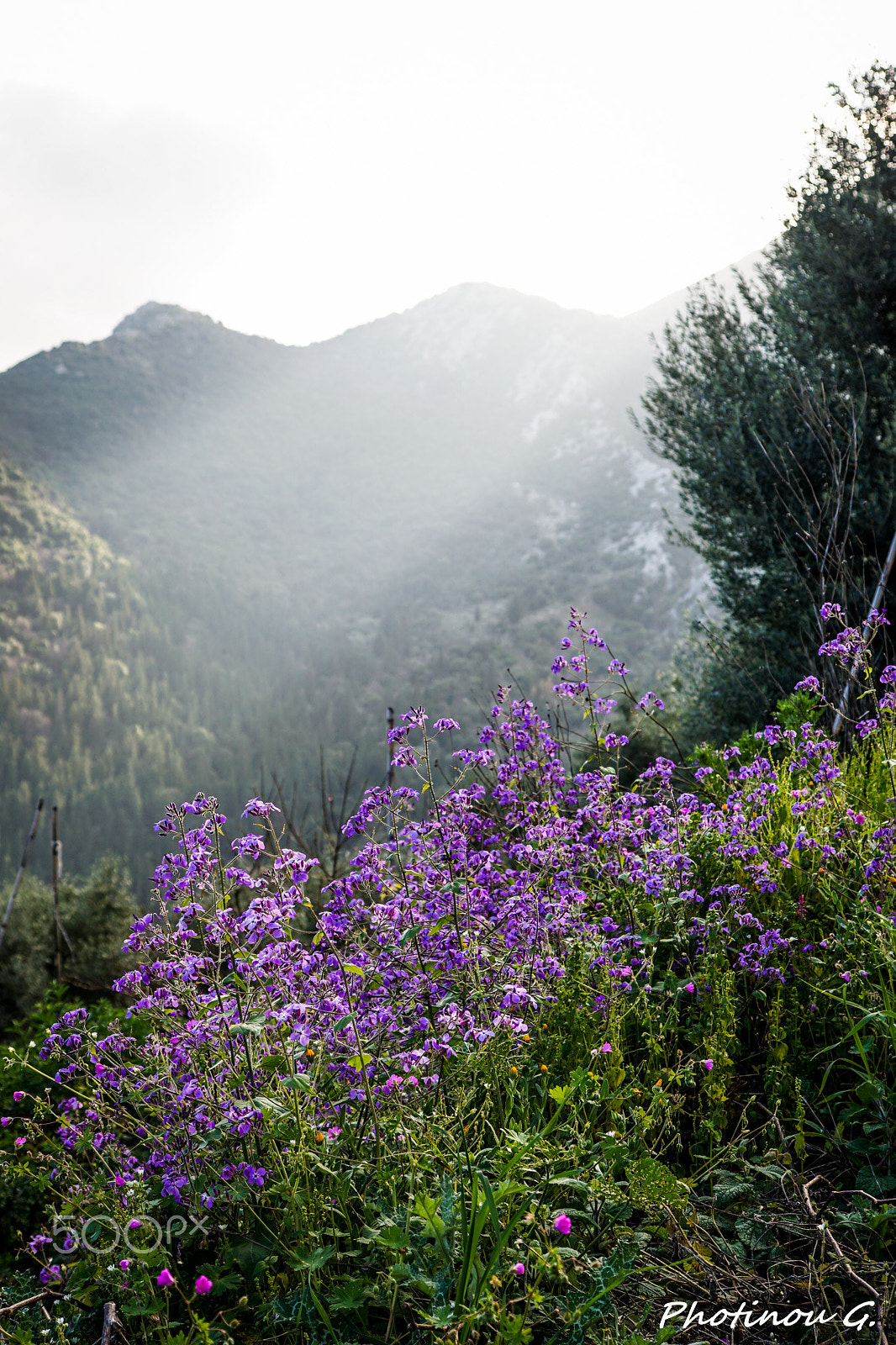 Sony ILCA-77M2 sample photo. Up in the mountains photography