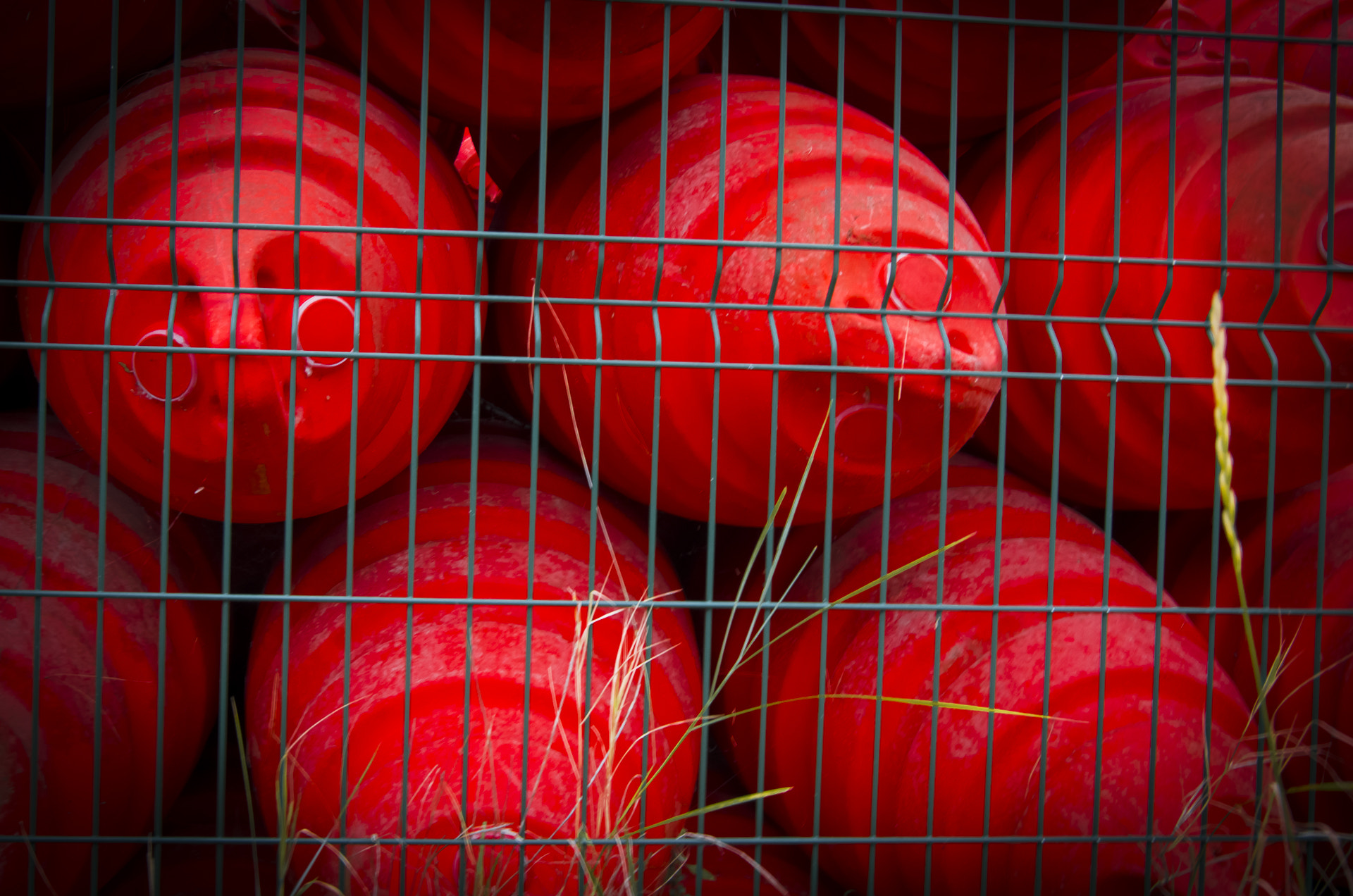Pentax K-5 sample photo. Red things photography