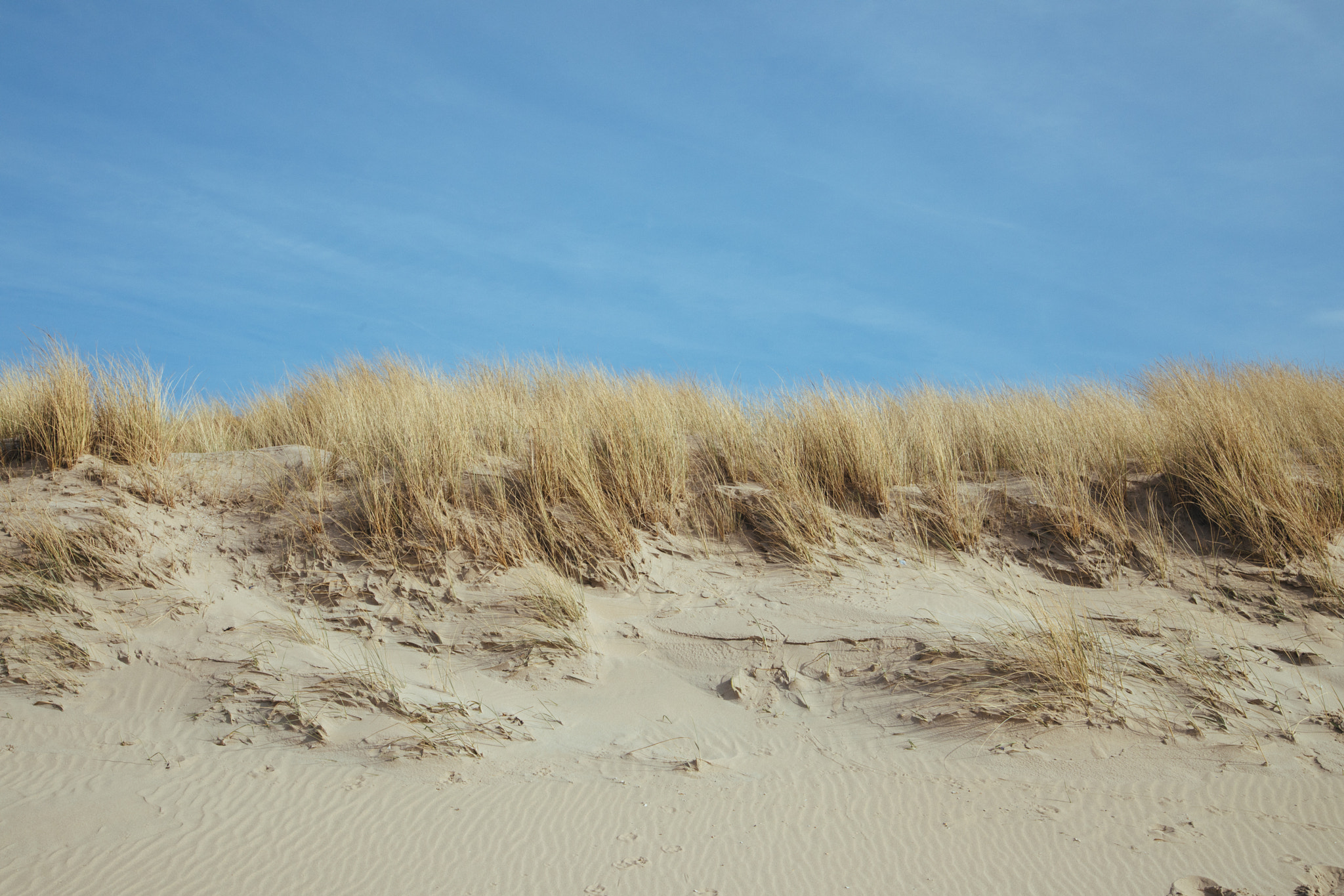 Canon EOS 5D Mark IV + Tamron AF 28-75mm F2.8 XR Di LD Aspherical (IF) sample photo. Dunes photography