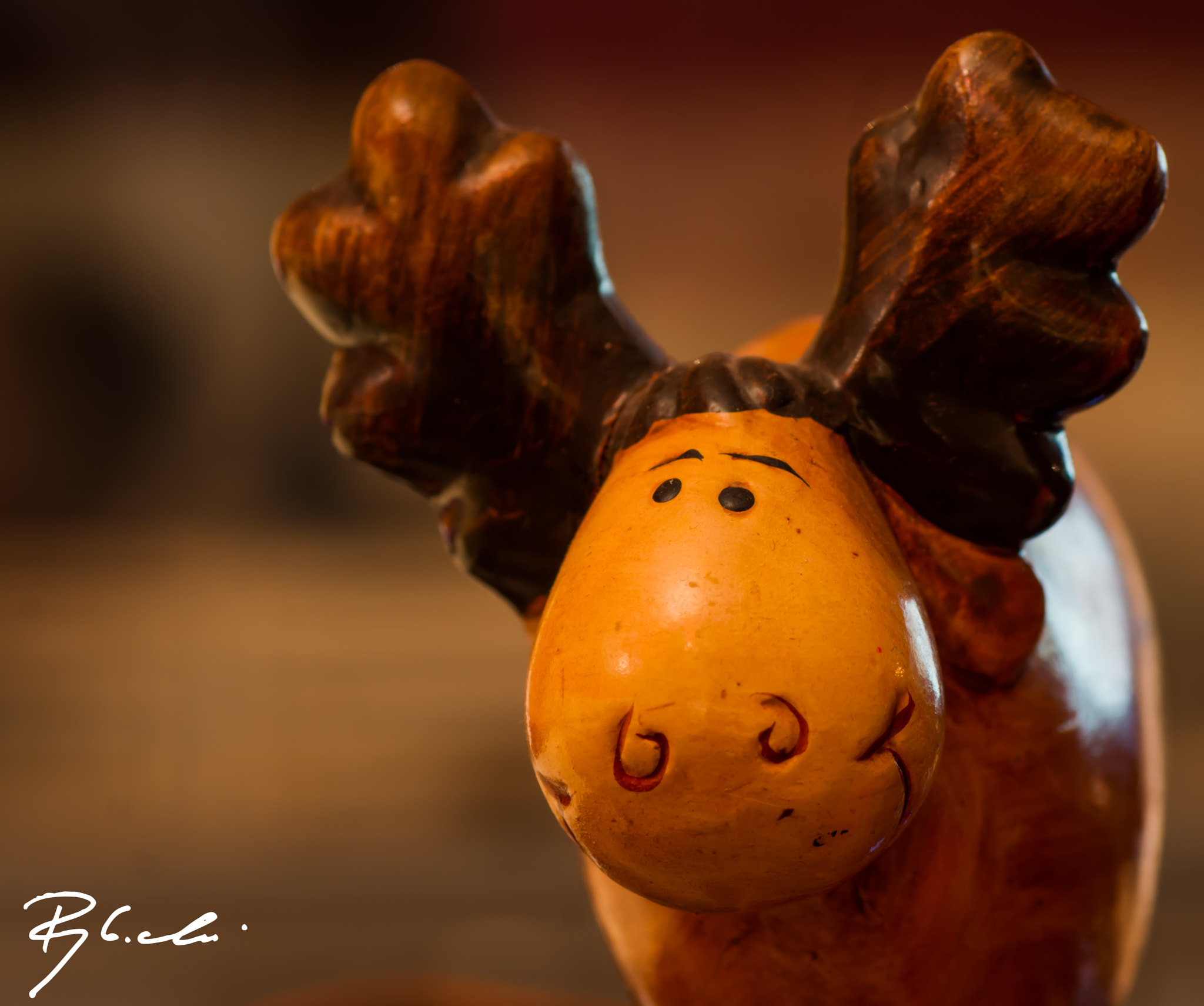 Sony Alpha DSLR-A550 sample photo. Moose photography