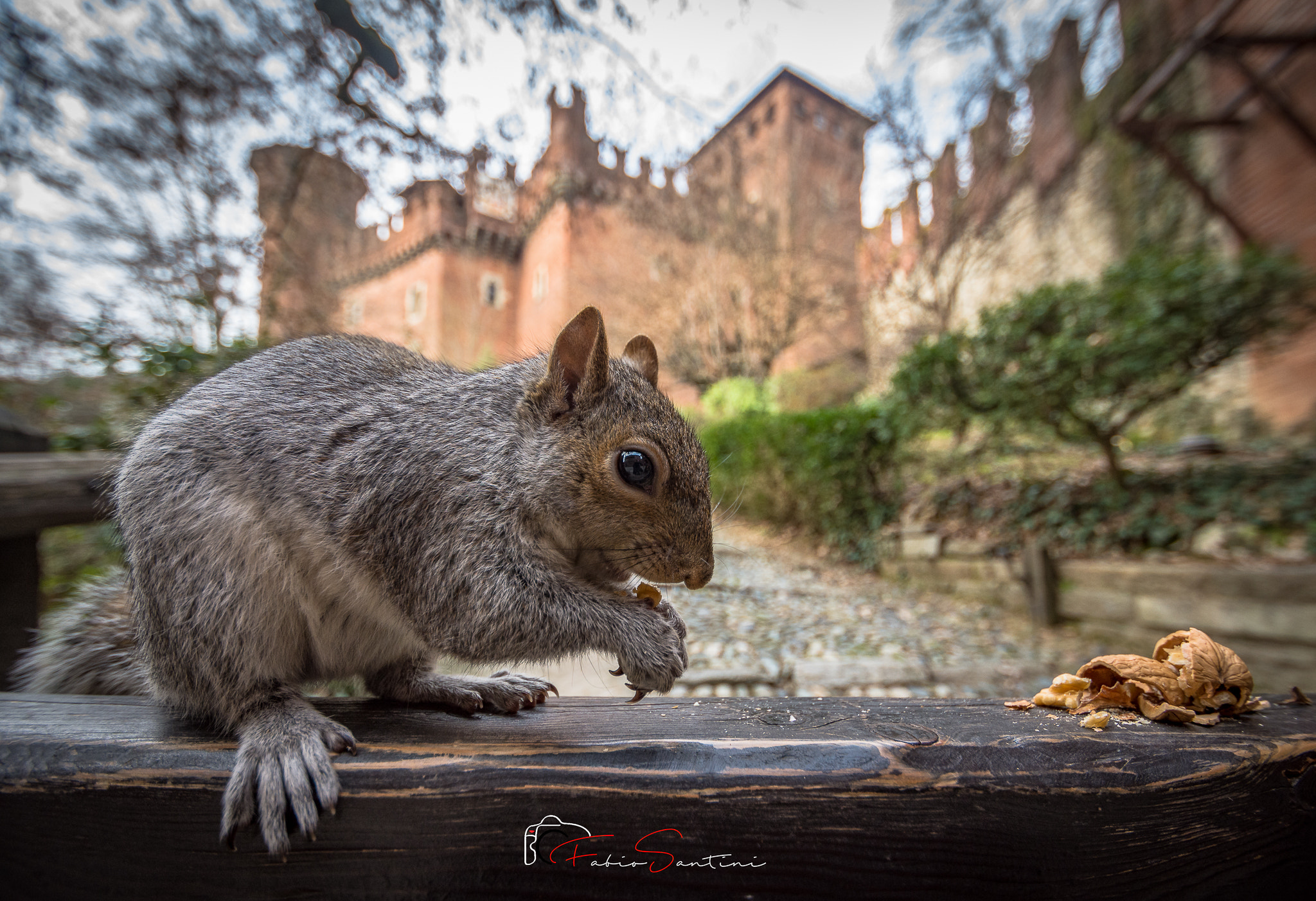 Nikon D7200 sample photo. Il borgo medievale di torino photography