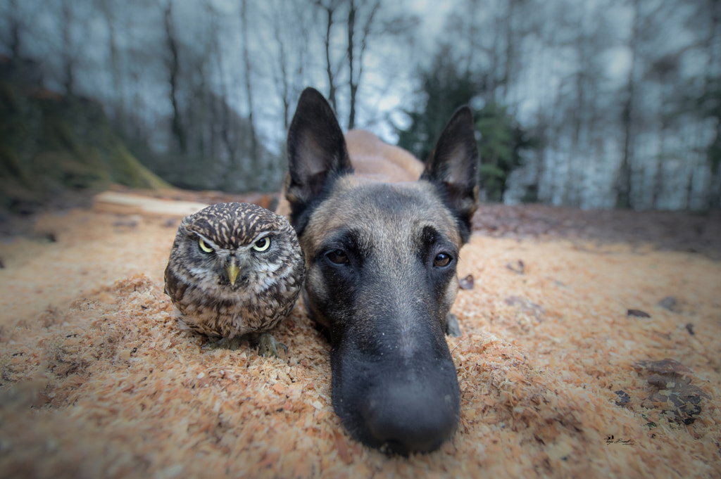 Monday by Tanja Brandt on 500px.com