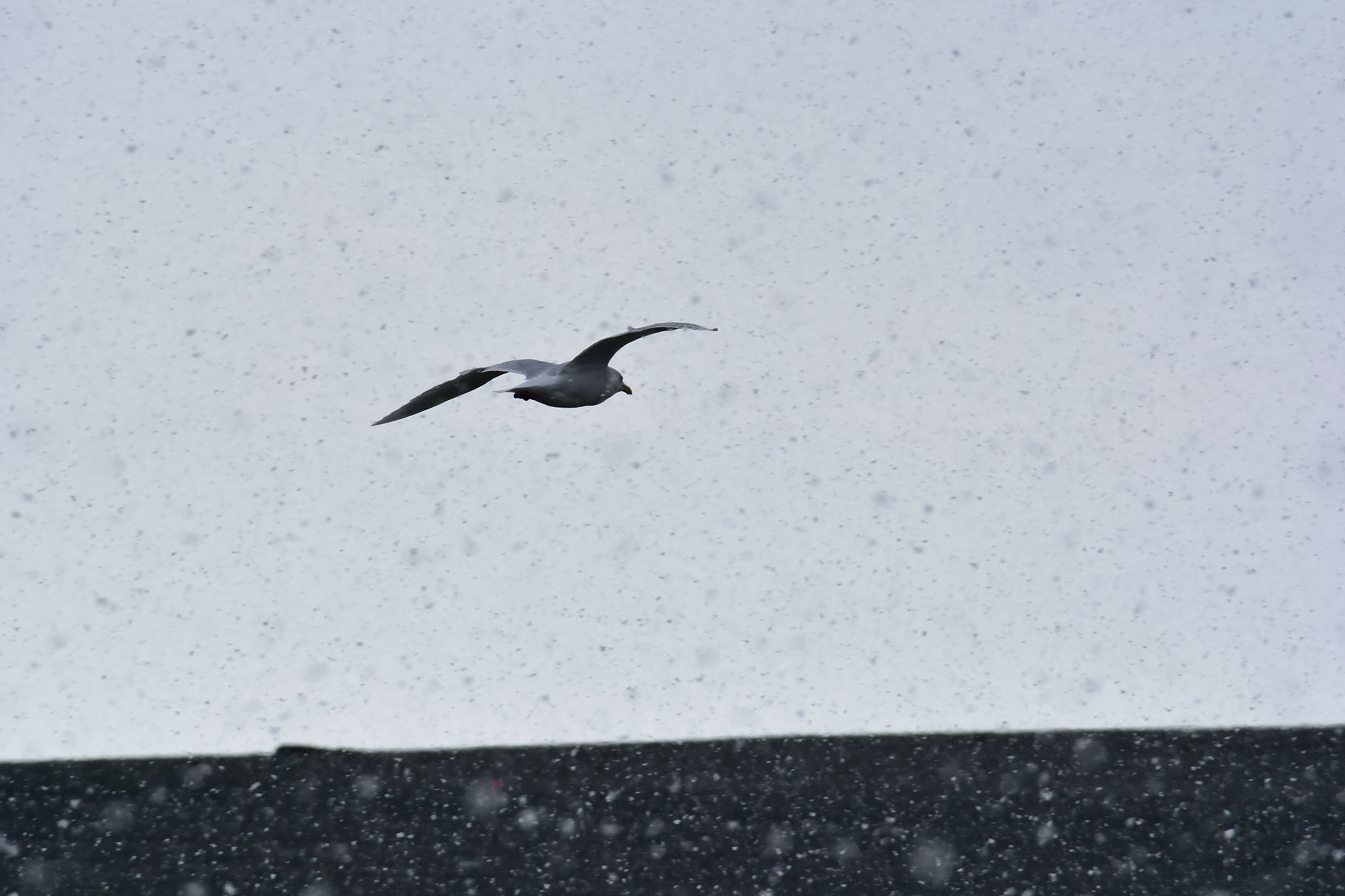 Nikon 1 V3 sample photo. Whiteout photography