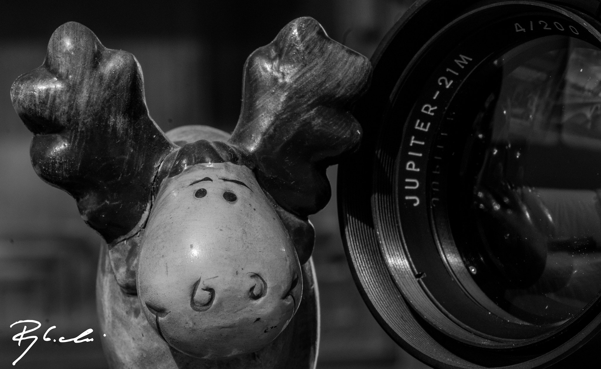 Tamron SP AF 90mm F2.8 Di Macro sample photo. Moose photography