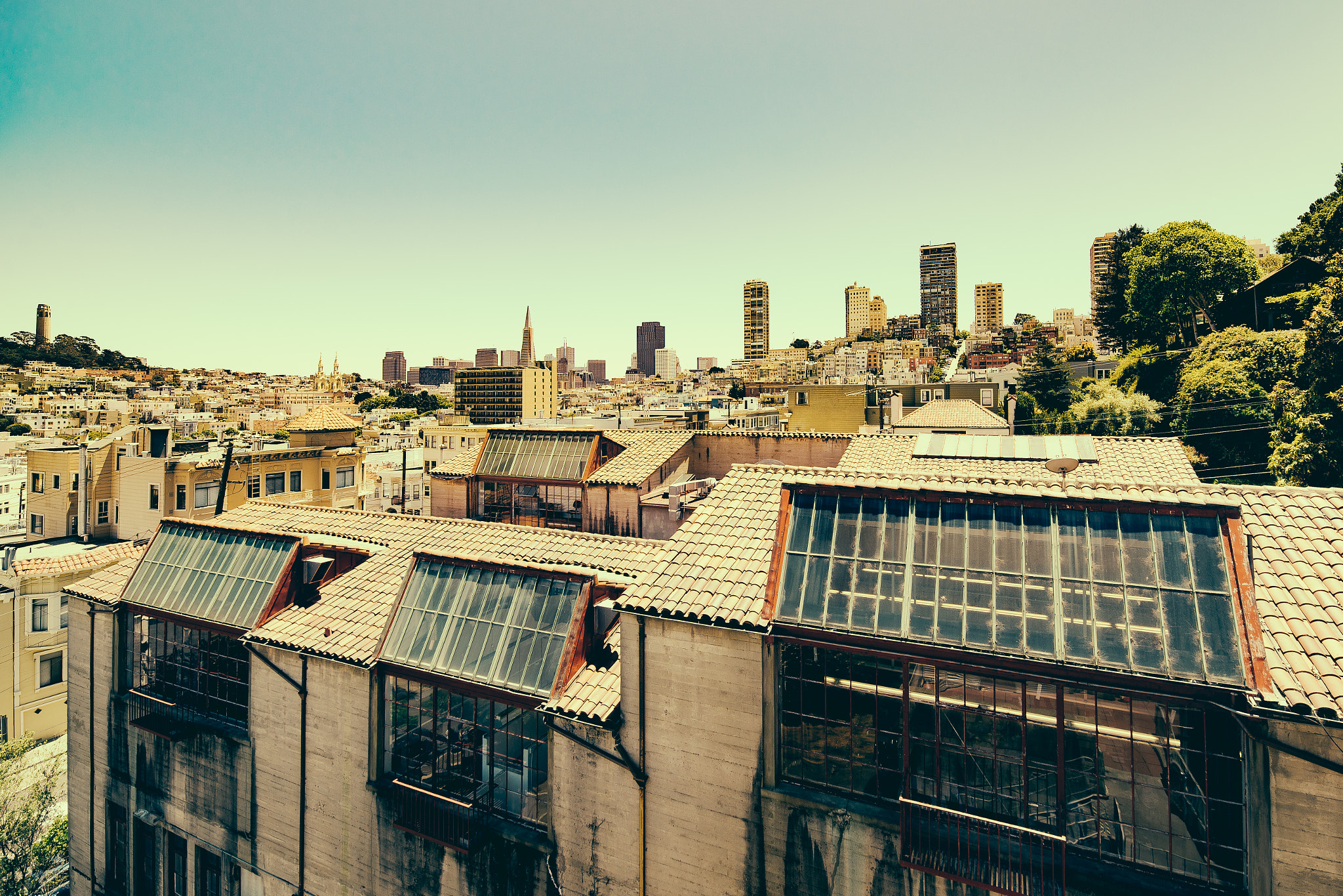 Samyang 14mm F2.8 ED AS IF UMC sample photo. San francisco  photography