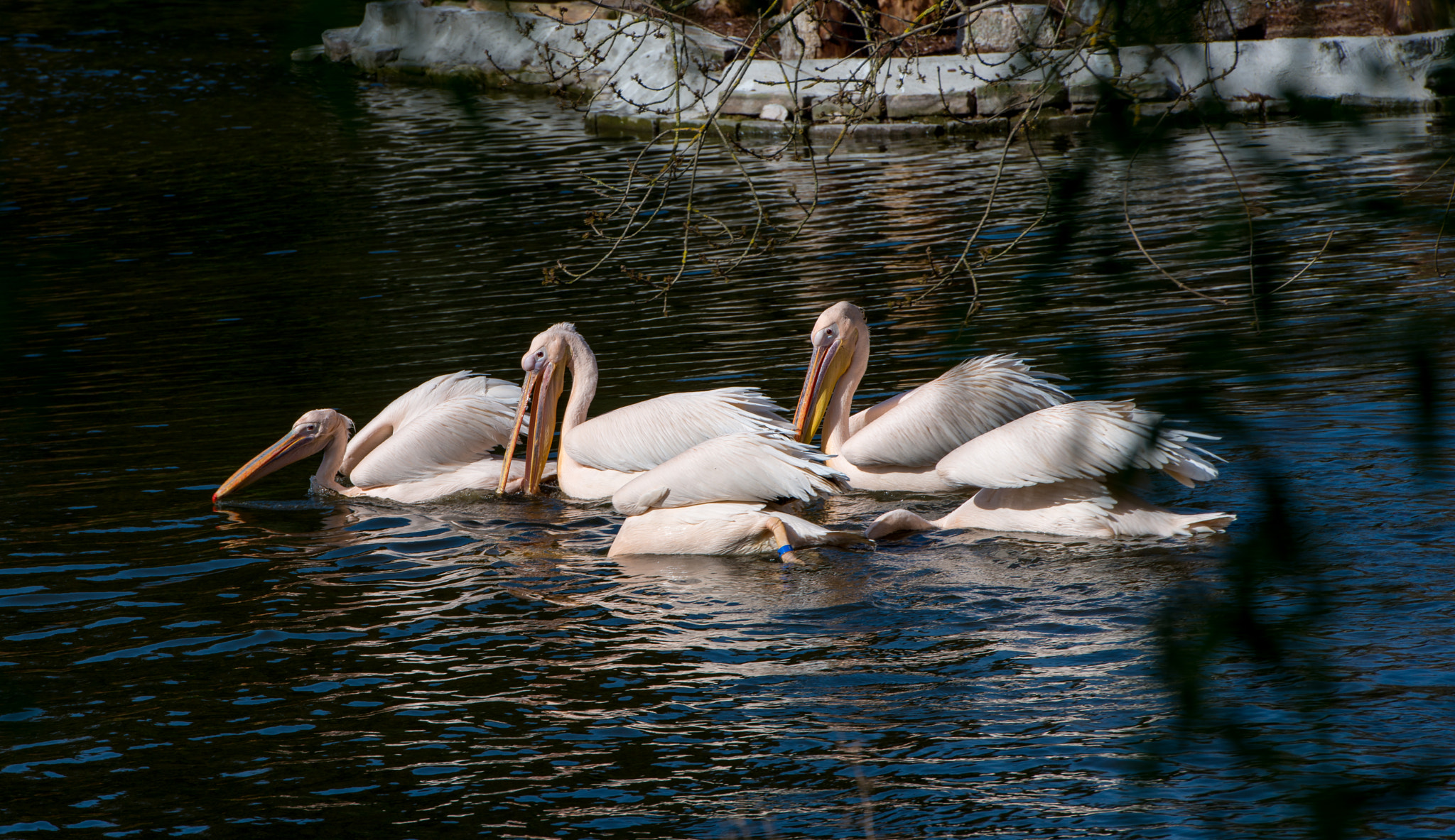 Nikon AF-S Nikkor 70-200mm F2.8G ED VR II sample photo. Angelausflug photography