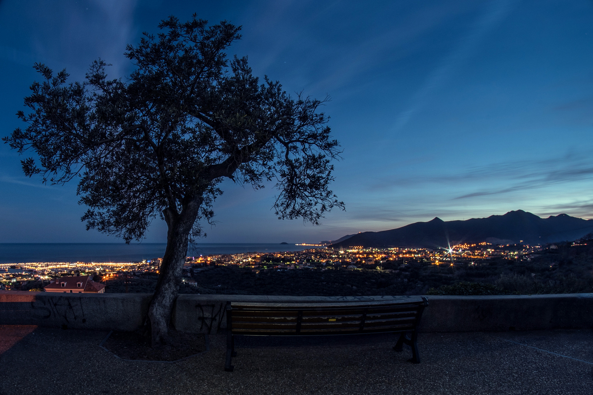 Nikon D750 + Samyang 8mm F3.5 Aspherical IF MC Fisheye sample photo. "a lovely night /2" -loano photography