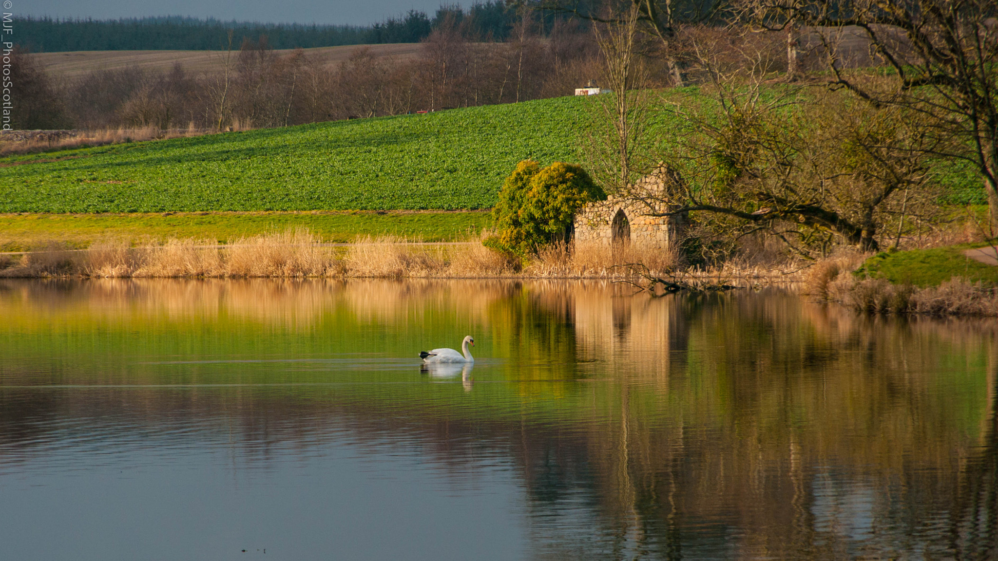 Samsung GX-20 sample photo. Pitfour lake. photography