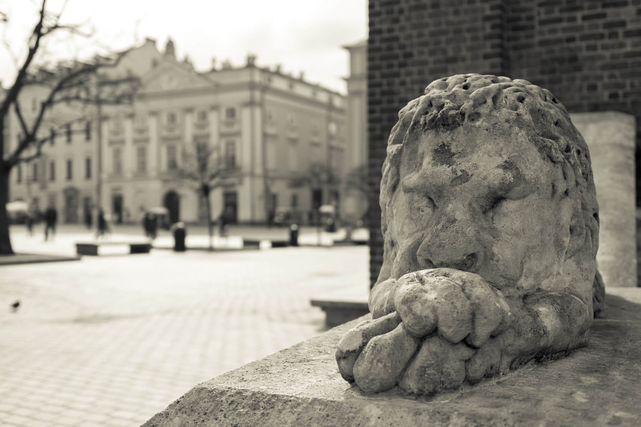 Sigma 18-35mm F1.8 DC HSM Art sample photo. Guardian lion photography