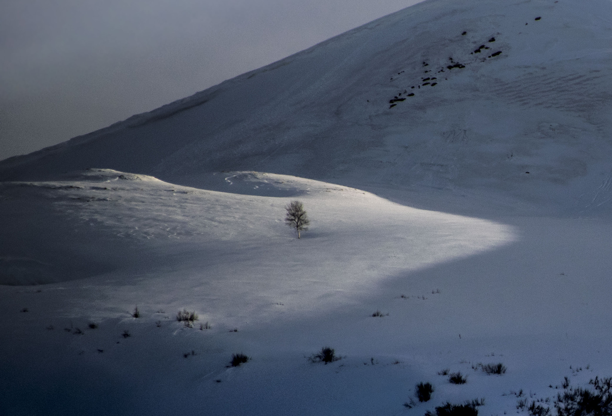 Sigma 18-250mm F3.5-6.3 DC Macro OS HSM sample photo. In the alpine land photography
