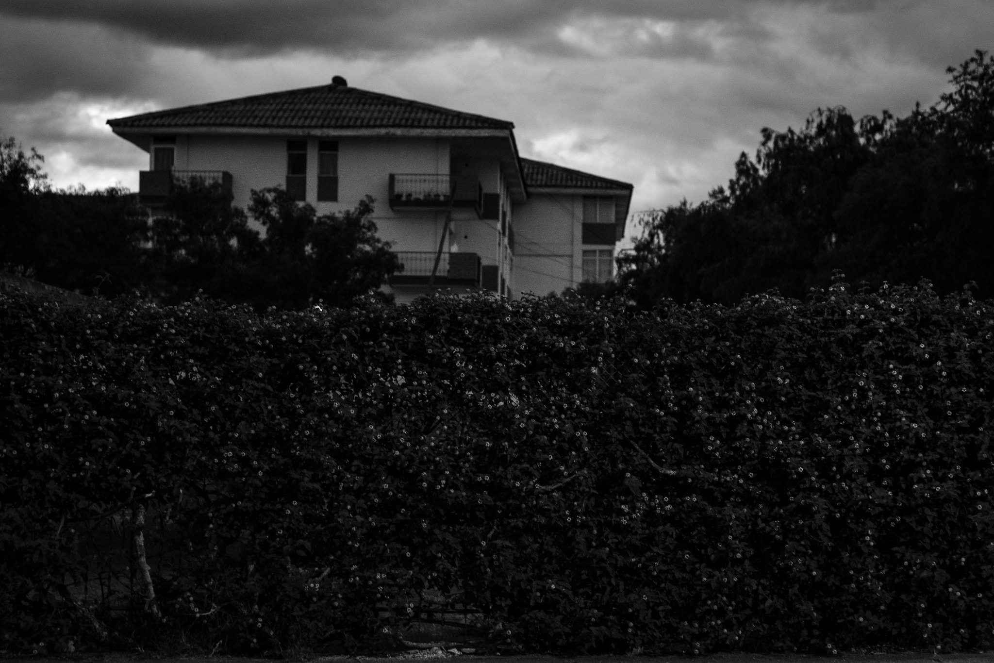 Nikon D5200 + Nikon AF Nikkor 50mm F1.8D sample photo. Fence photography