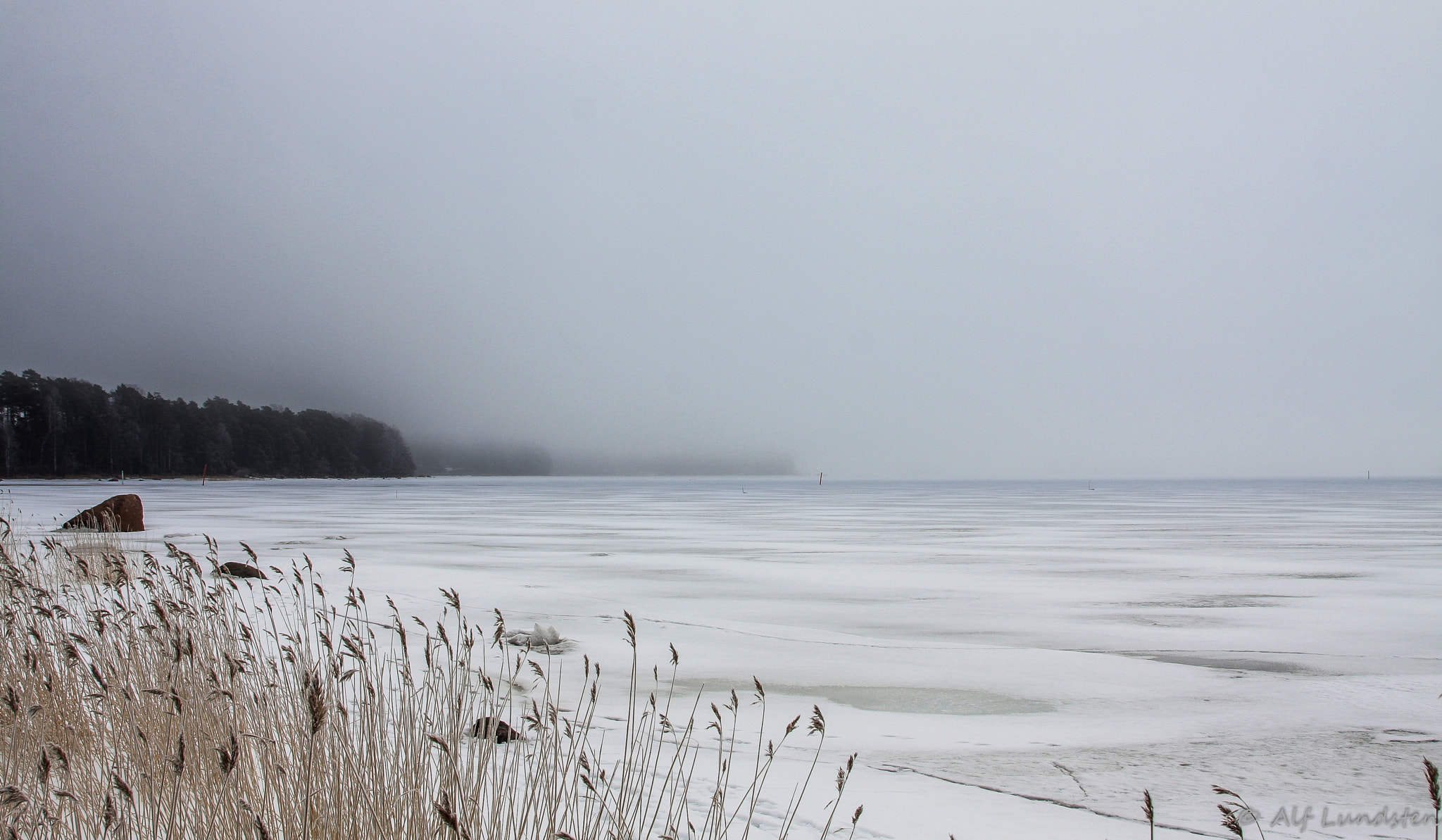 Canon EOS 40D + Canon EF 24-105mm F4L IS USM sample photo. Into the misty void photography