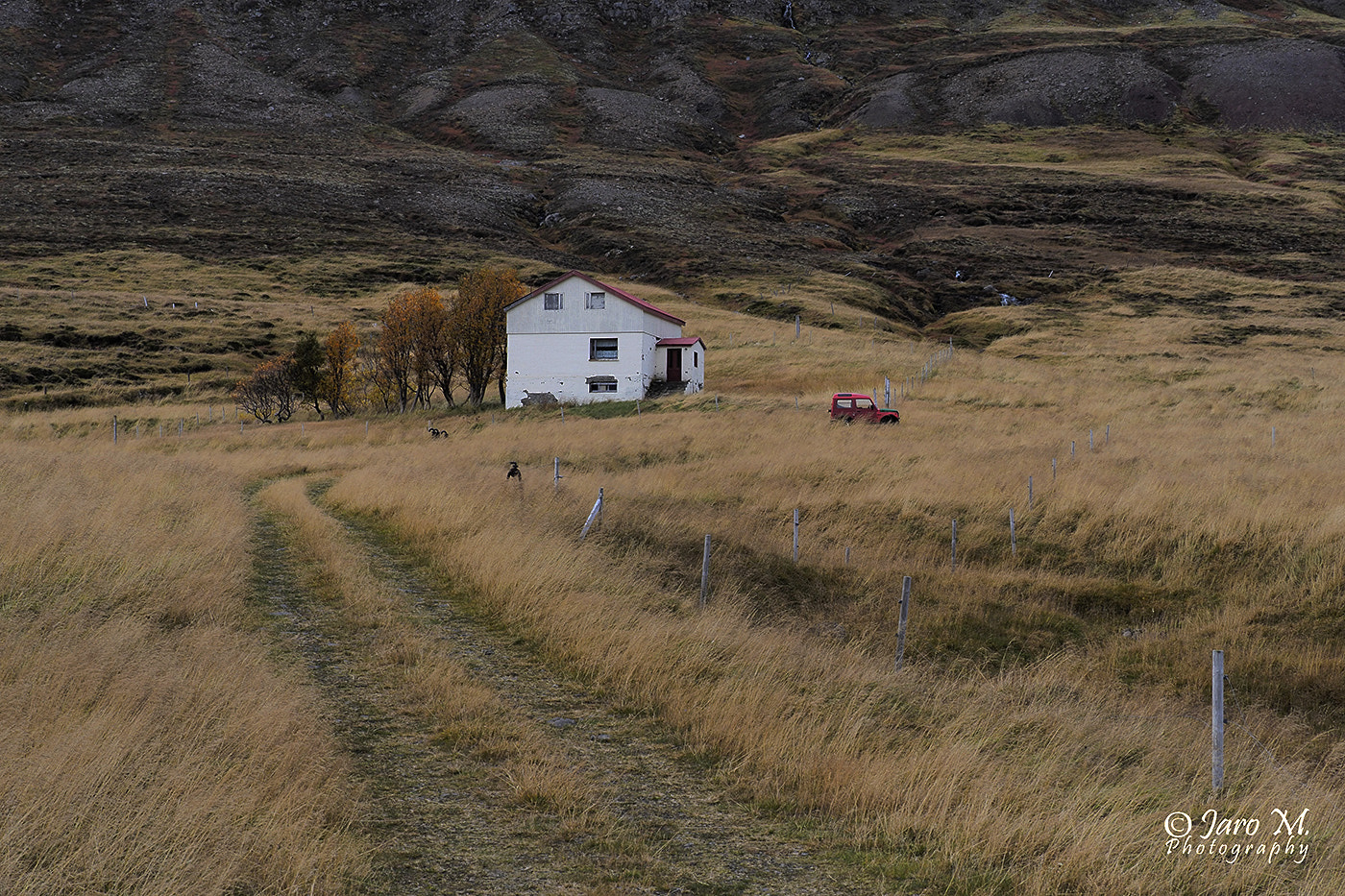 Panasonic Lumix G X Vario 35-100mm F2.8 OIS sample photo. Iceland photography