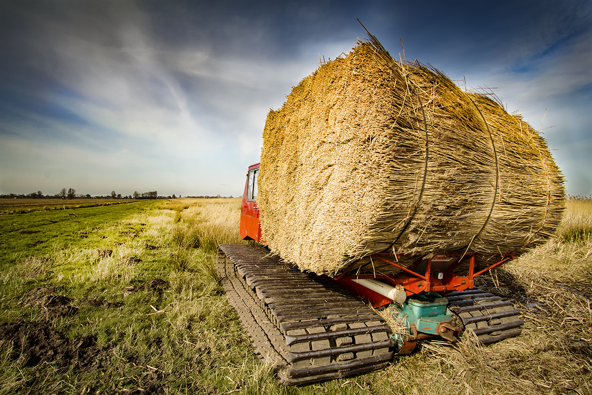 Canon EF-S 10-22mm F3.5-4.5 USM sample photo. Rietpak op rupsvoertuig photography
