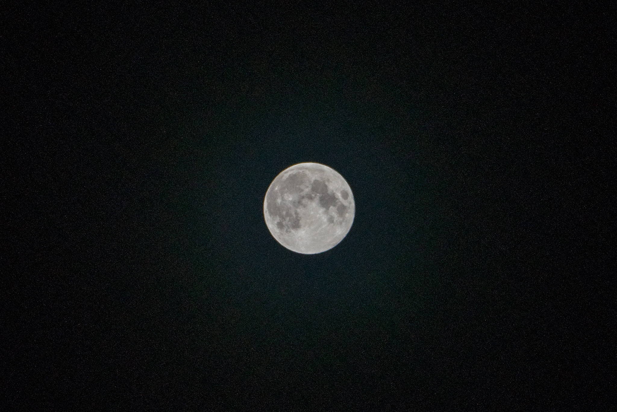 Sony a7R + Sony FE 70-200mm F4 G OSS sample photo. Rth photography