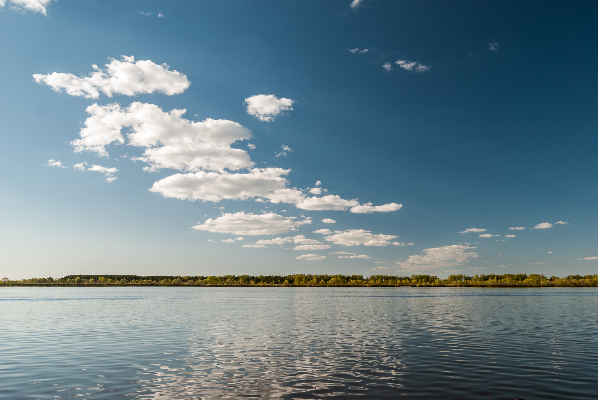 Nikon D80 sample photo. Volga photography