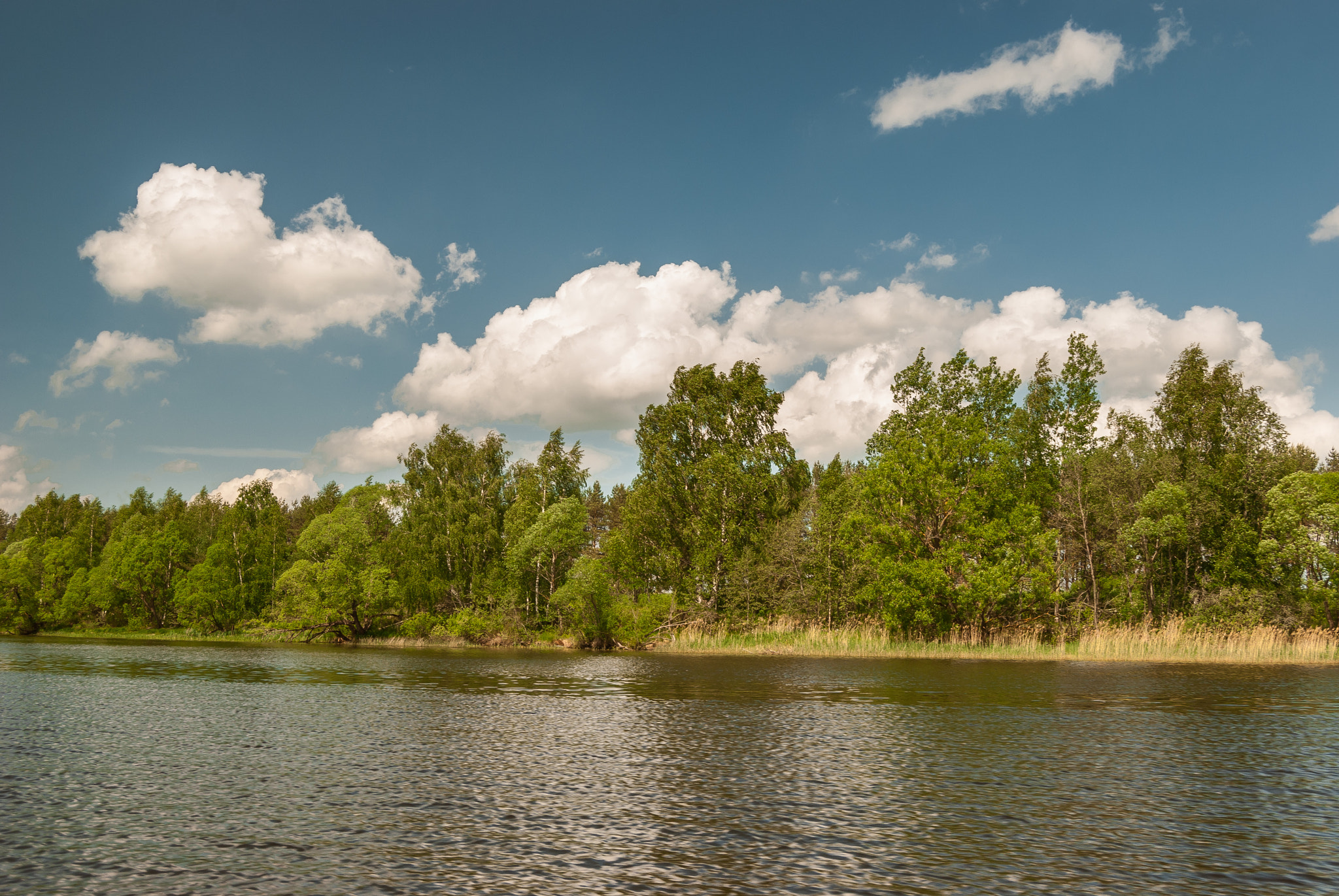 Nikon D80 sample photo. Volga photography