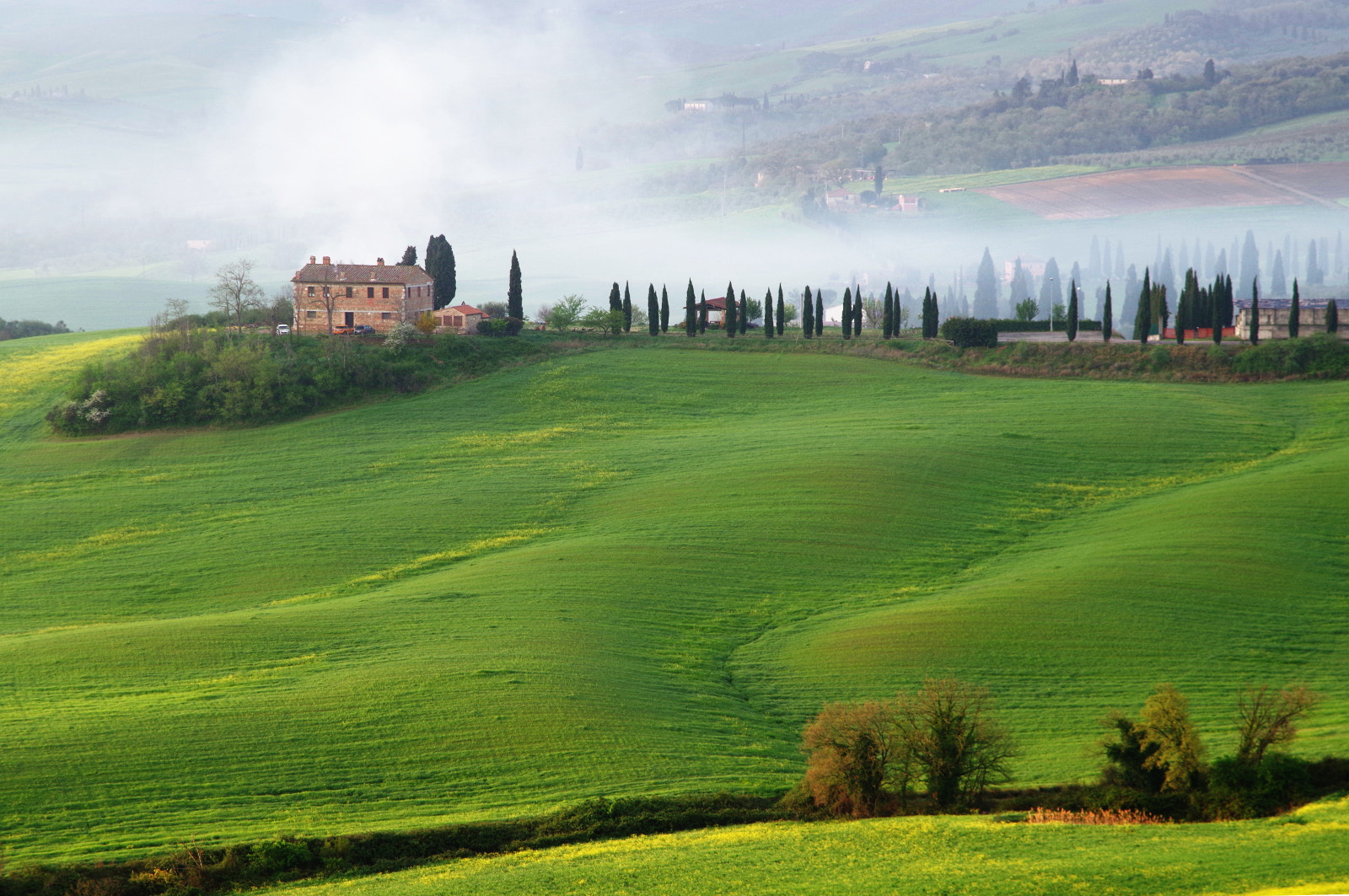 Pentax K-30 + smc PENTAX-FA 28-105mm F3.2-4.5 AL[IF] sample photo. Green fields of tuscany photography