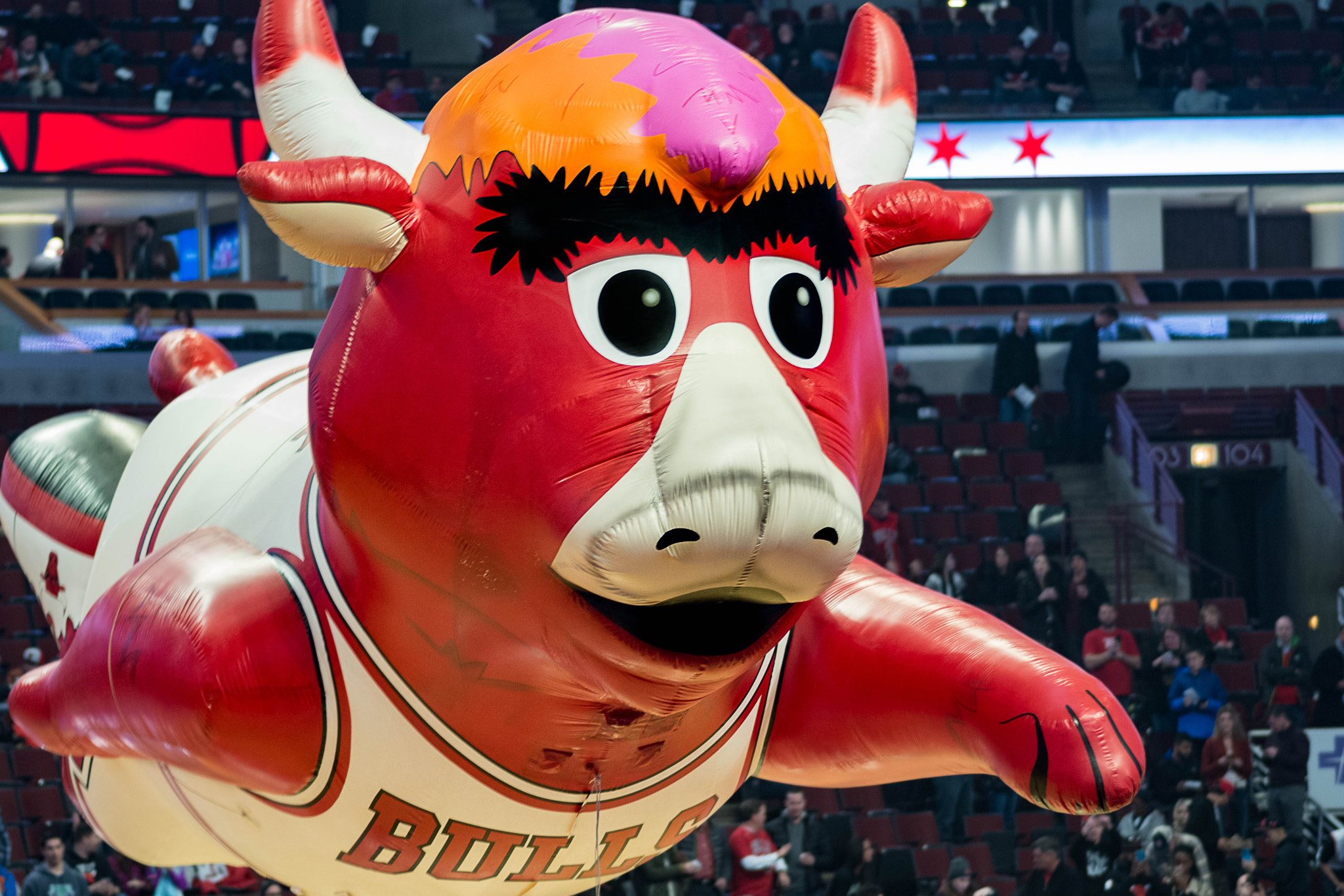 Nikon D7100 sample photo. Benny the bull © photography