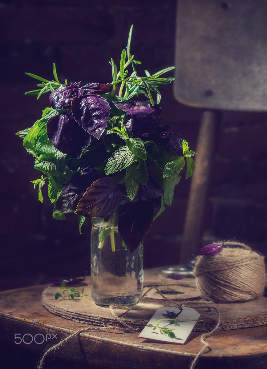 Nikon D3200 + Nikon AF-S Nikkor 50mm F1.4G sample photo. A living bouquet of herbs, herbs and spices that a photography