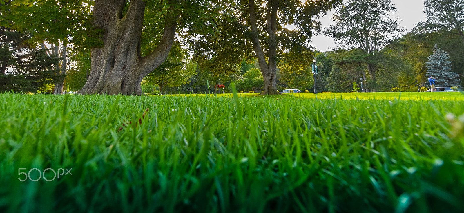 Nikon D5500 sample photo. Niagara falls, ontario. queen victoria park as seen by a mole. photography