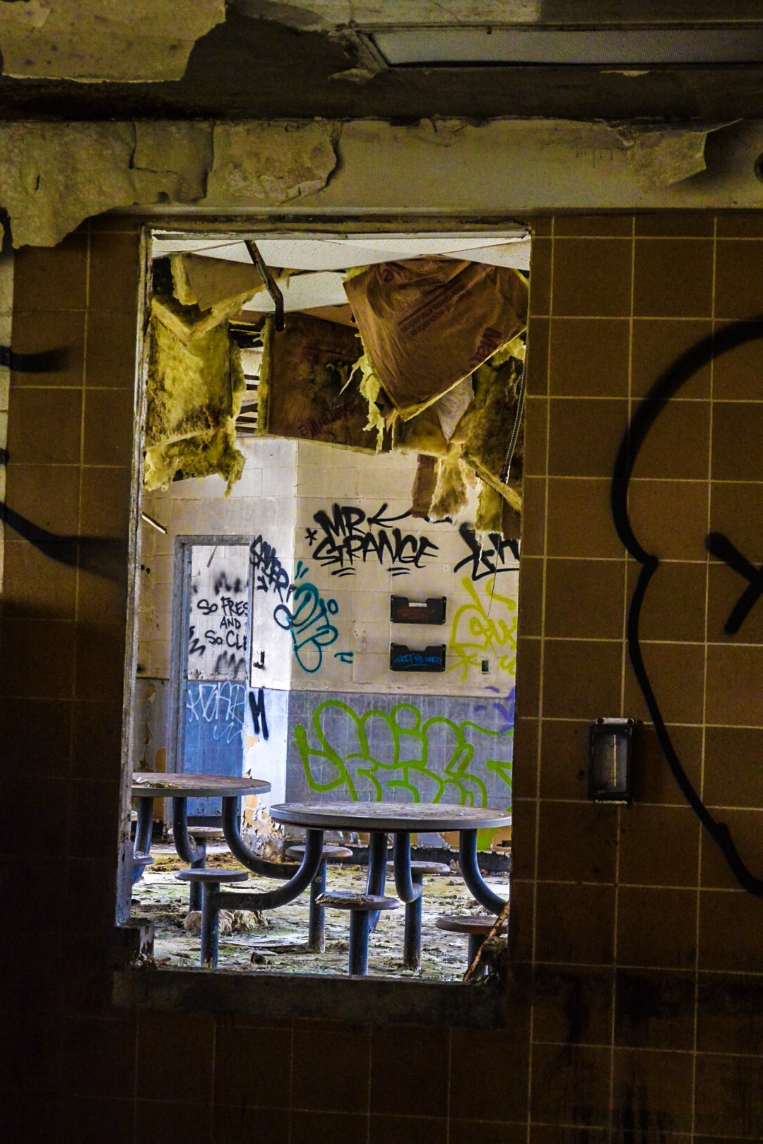 Nikon 1 J3 sample photo. Abandoned photography