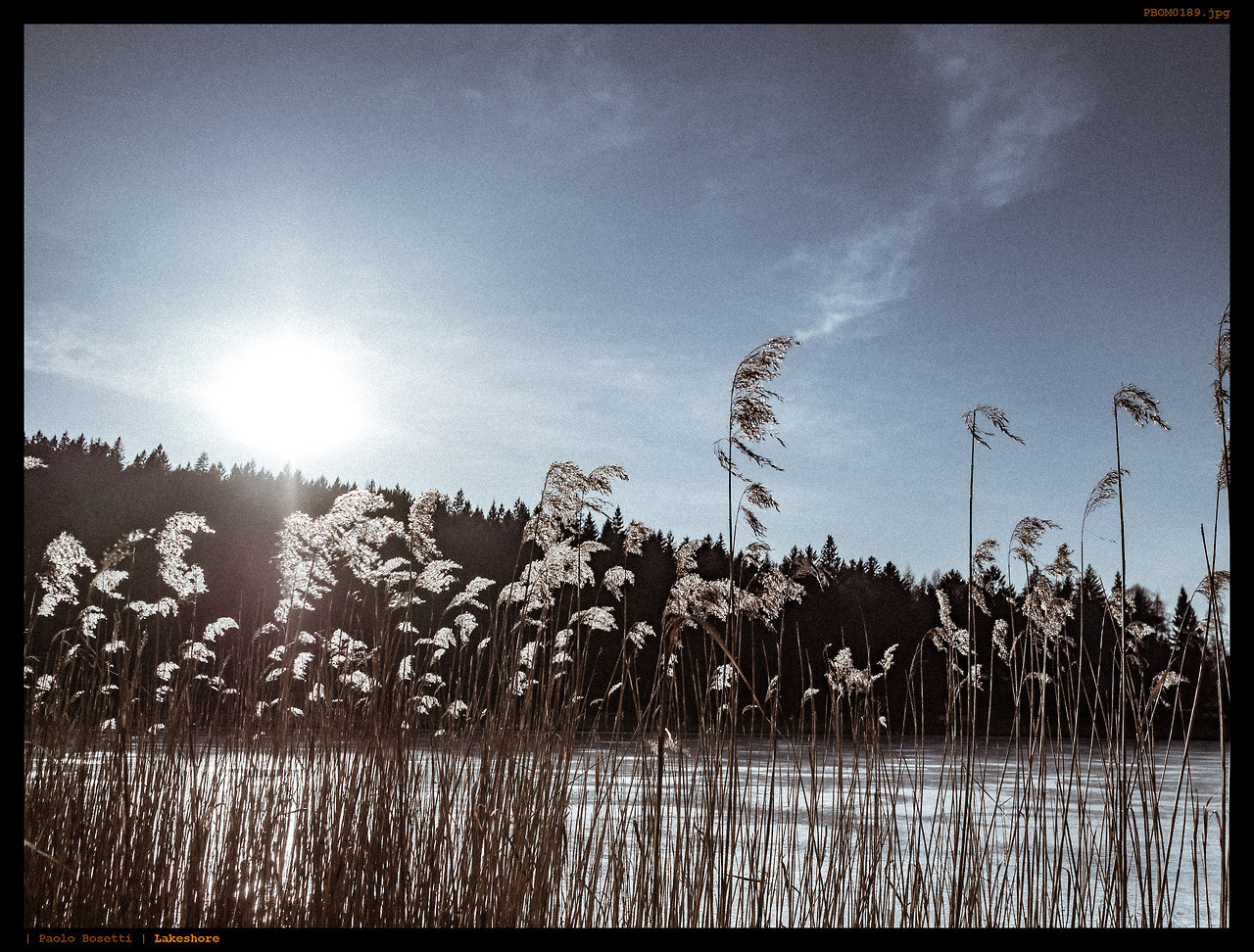 Olympus OM-D E-M5 II + Olympus M.Zuiko Digital 17mm F1.8 sample photo. Lakeshore photography