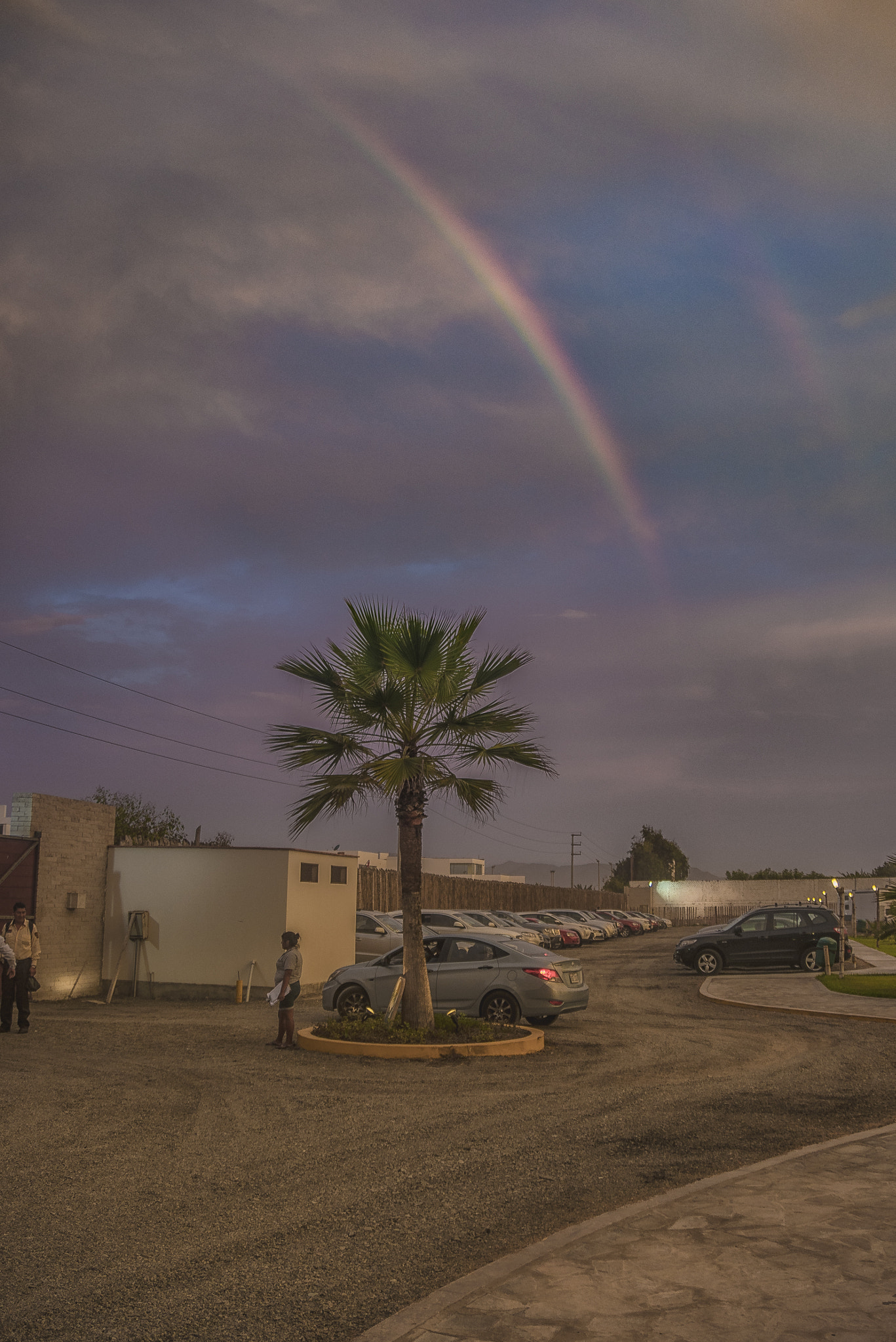 Sony a7R II + Sony DT 18-250mm F3.5-6.3 sample photo. The rainbow photography