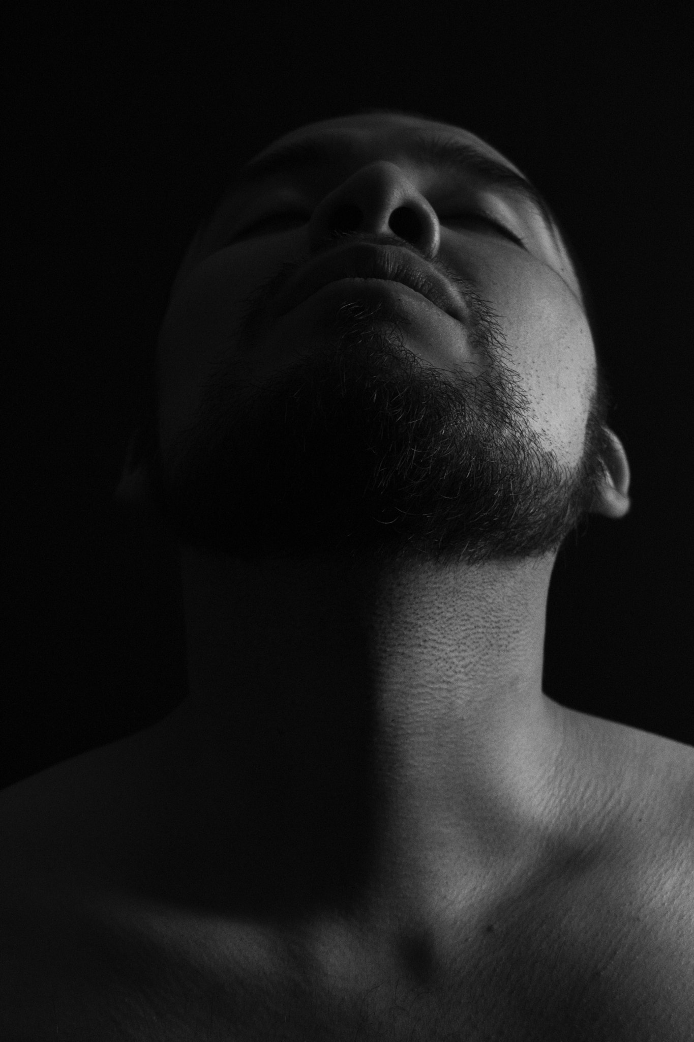 Canon EOS 750D (EOS Rebel T6i / EOS Kiss X8i) sample photo. Owen photography