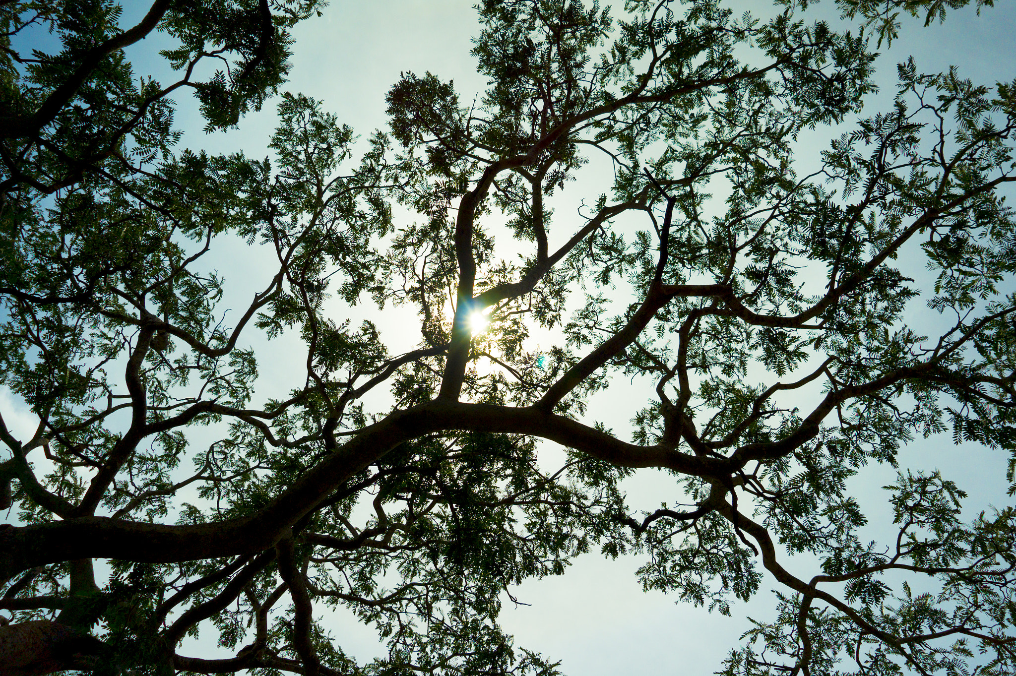 E 18-50mm F4-5.6 sample photo. Through the sky photography