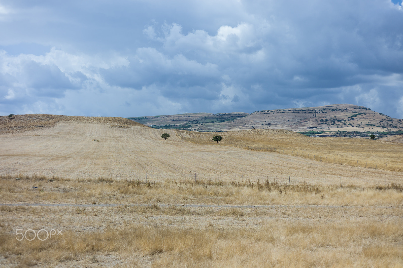 Leica M9 + Summicron-M 50mm f/2 (IV, V) sample photo. Sardinian landscape photography