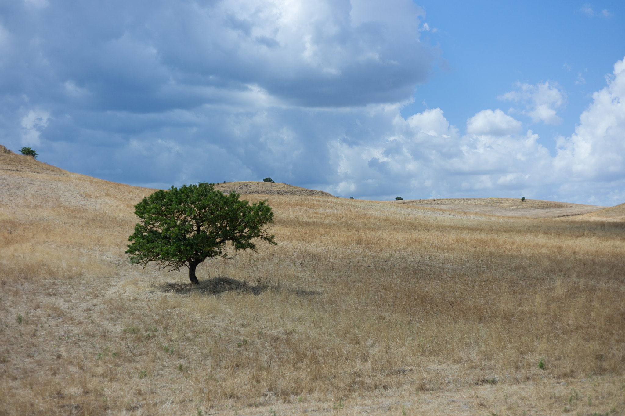 Leica M9 + Summicron-M 50mm f/2 (IV, V) sample photo. Sardinian landscape photography