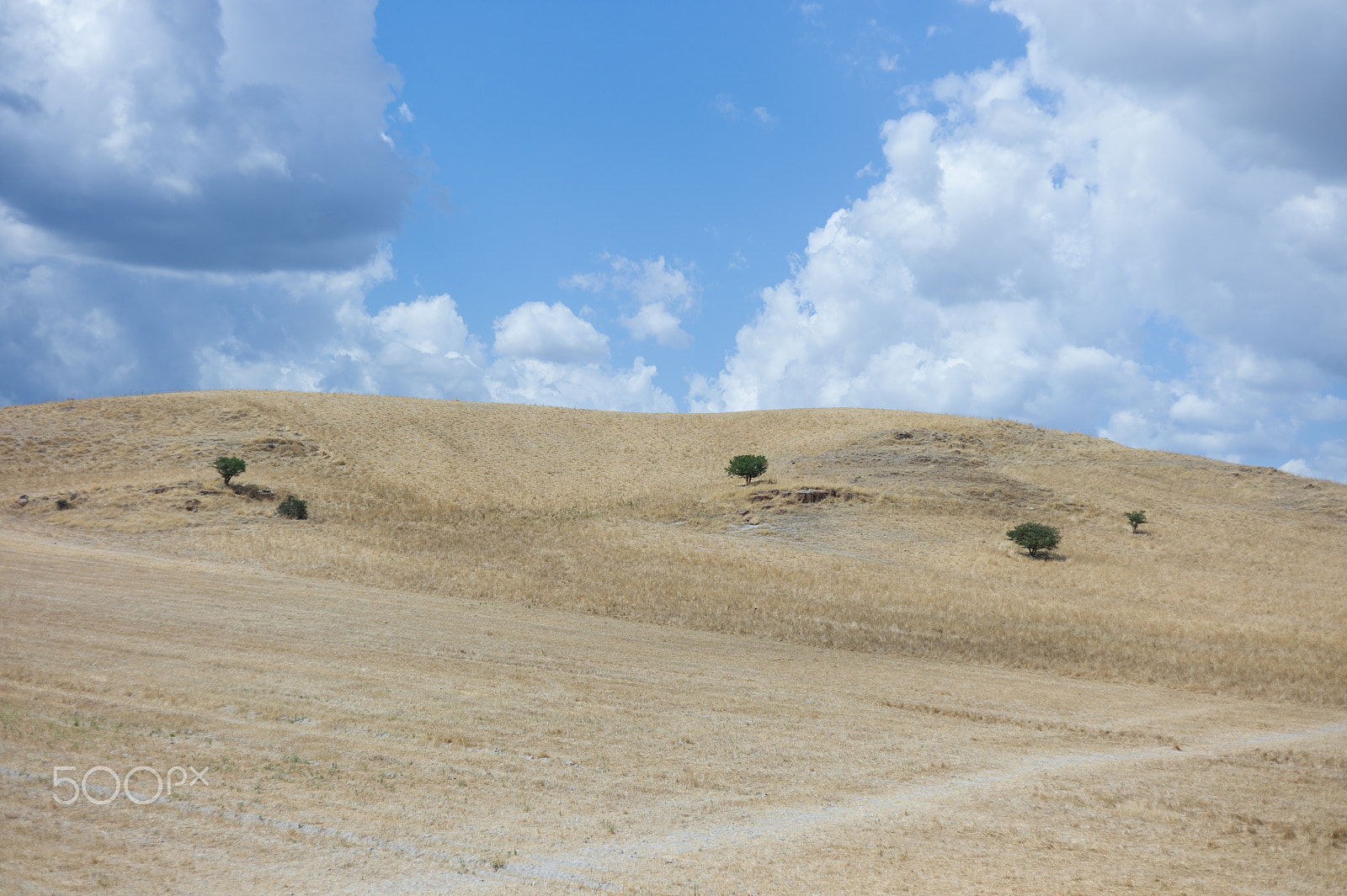 Leica M9 + Summicron-M 50mm f/2 (IV, V) sample photo. Sardinian landscape photography