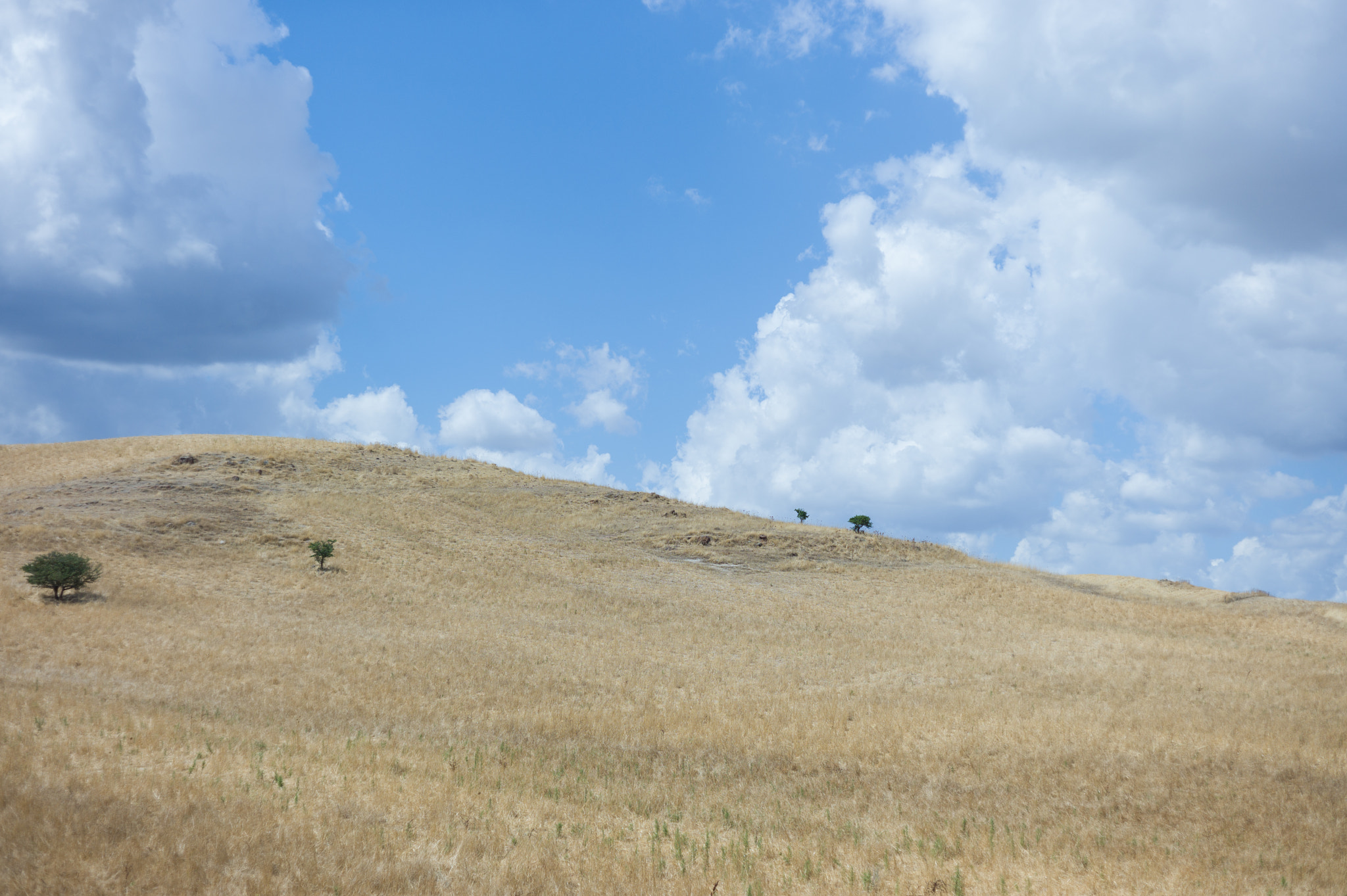 Leica M9 + Summicron-M 50mm f/2 (IV, V) sample photo. Sardinian landscape photography