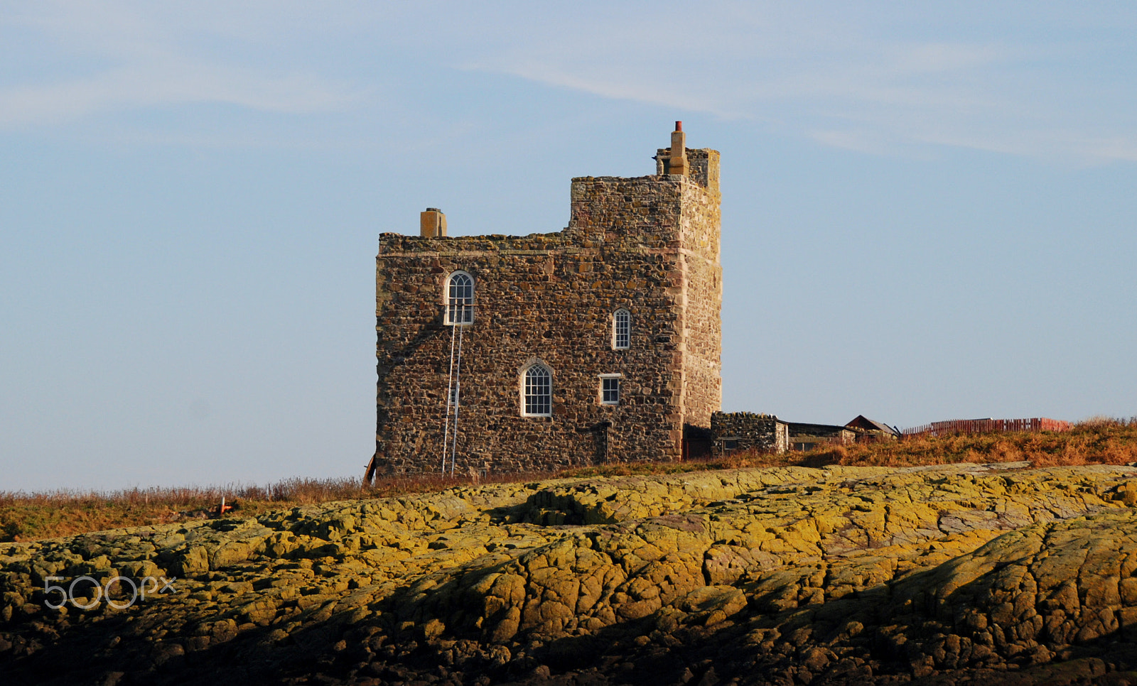 Nikon D80 sample photo. Farne islands photography