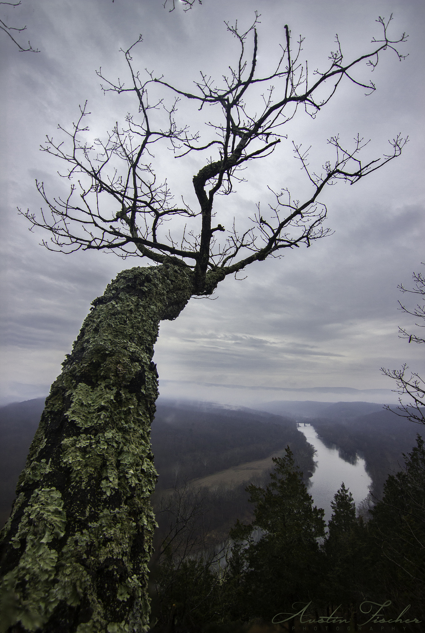 Canon EOS 550D (EOS Rebel T2i / EOS Kiss X4) sample photo. My perch photography