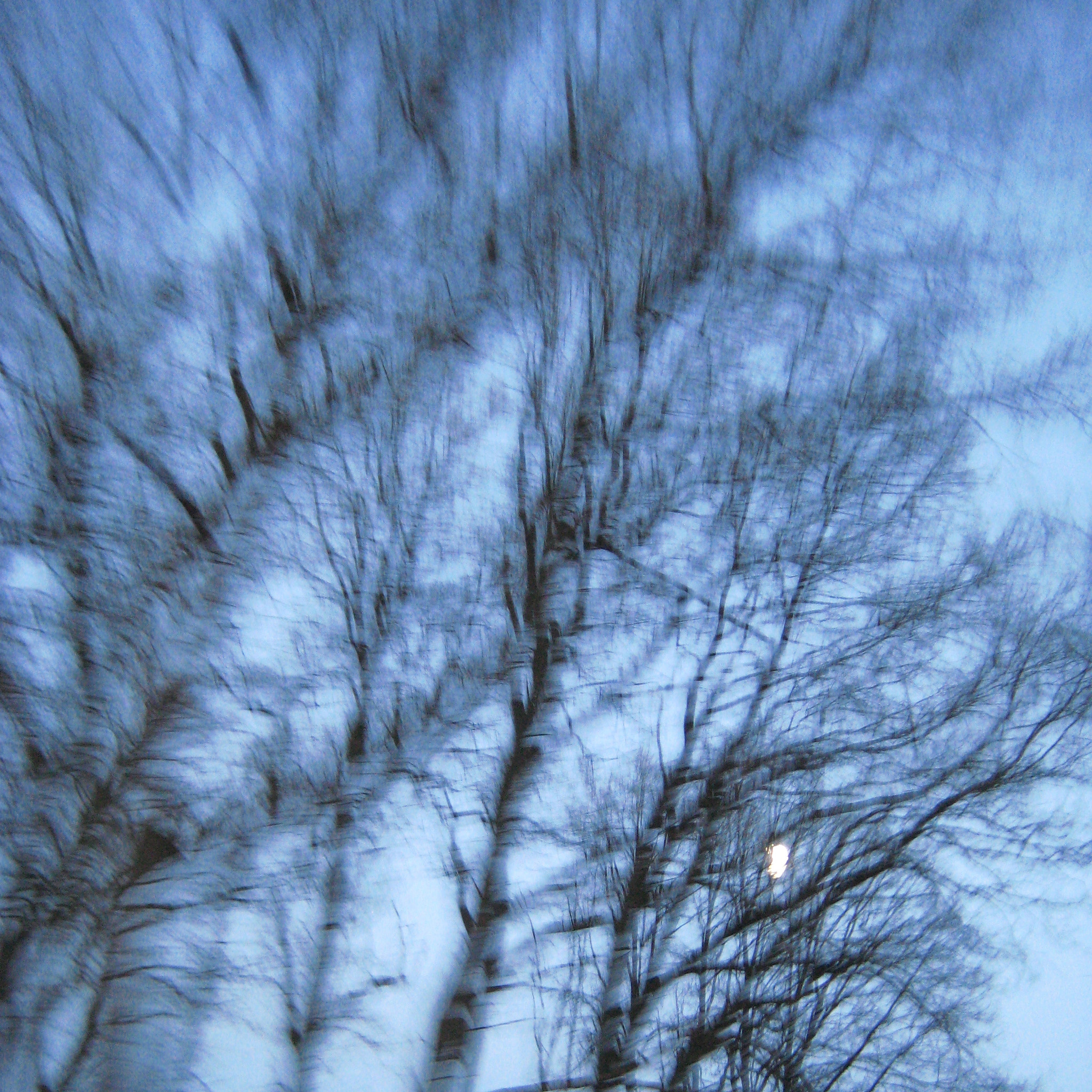 Canon DIGITAL IXUS 70 sample photo. Trees photography