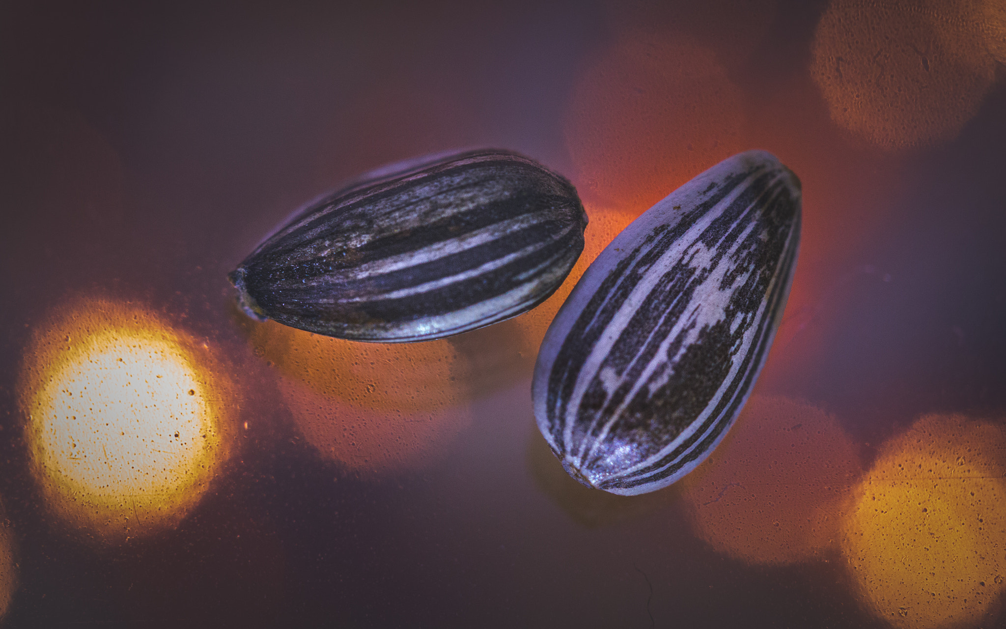 Canon EF 100mm F2.8L Macro IS USM sample photo. Sunflower seeds photography