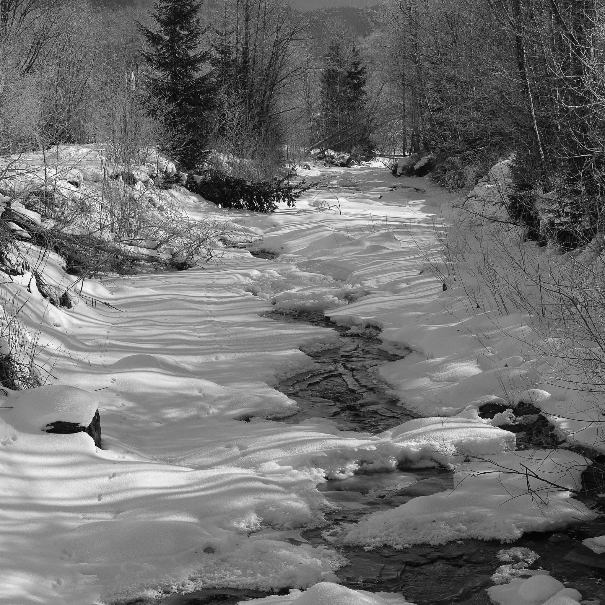Nikon D7100 sample photo. Black and white winter photography