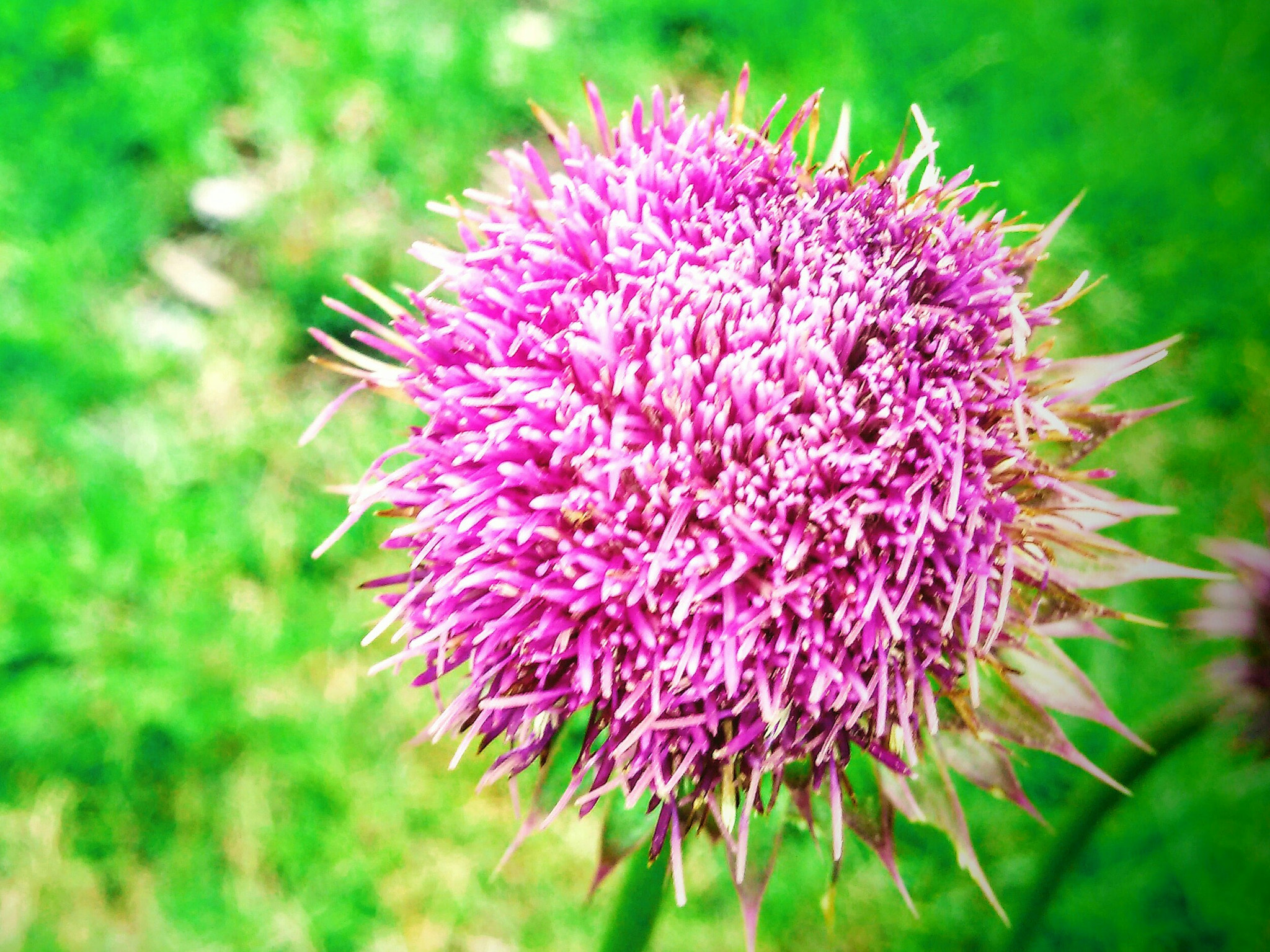 LG G3 S sample photo