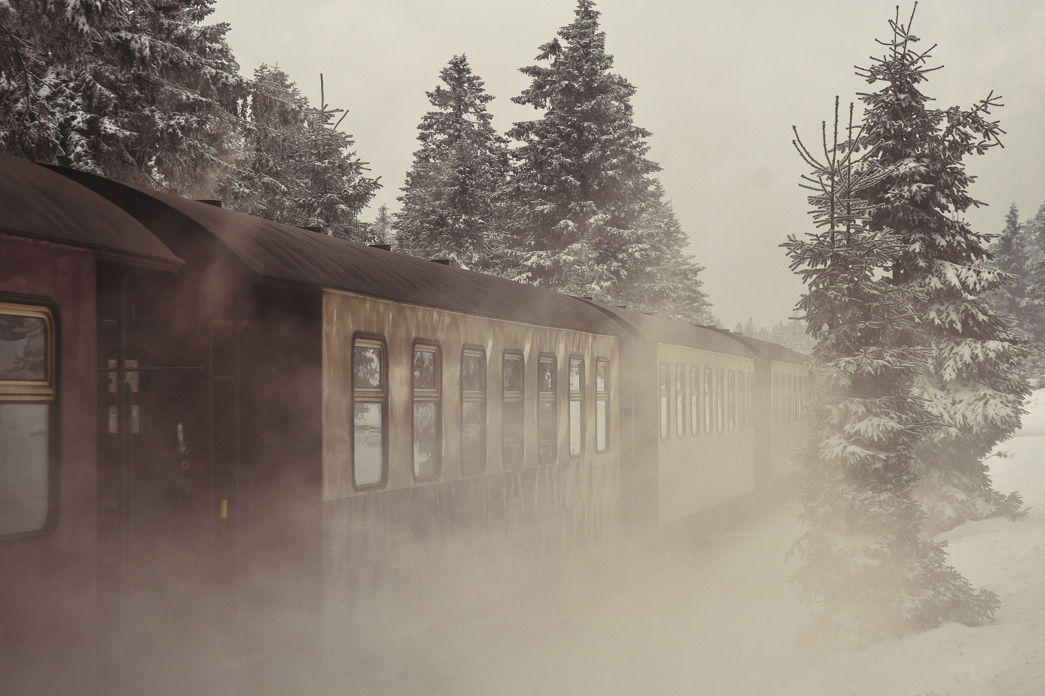 Nikon D500 sample photo. Through the smoke photography